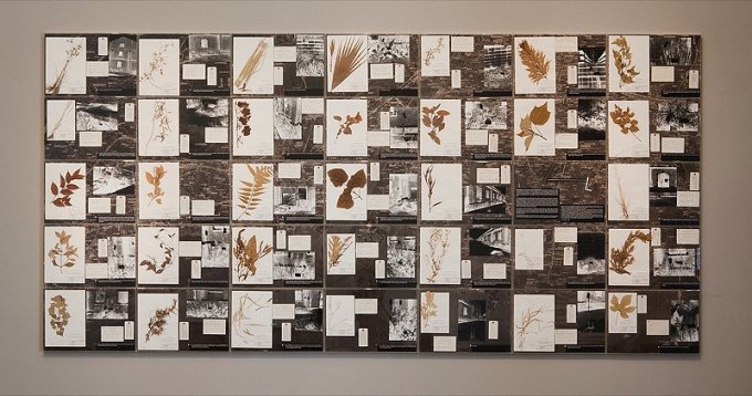 João Penalva: Addressing the Weeds in Hiroshima, 1997. Foto: Torben Eskerod.