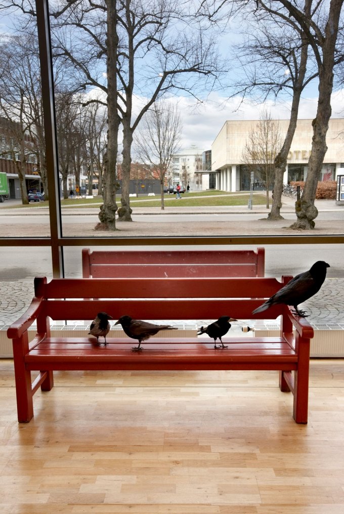 Four non blondes, 2011. Foto: Vaxjo Konsthall