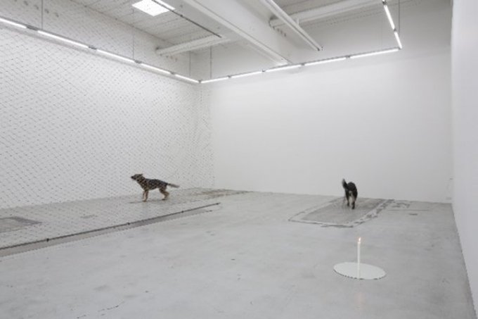 Installation view, COPENHAGEN 93 (August 2013). (Foto: Anders Sune Berg, © Galleri Nicolai Wallner)