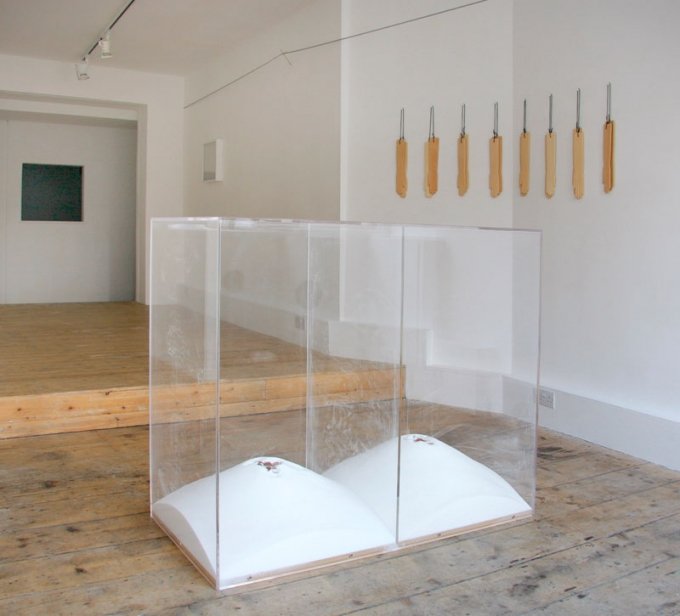 Limoncello Gallery: Jesse Ash, Stella Capes, Vanessa Billy og Sam Porritt, Weight Sharing, 2008