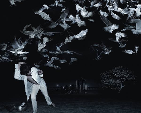 Running from birds af White-Sobieski, Pressefoto