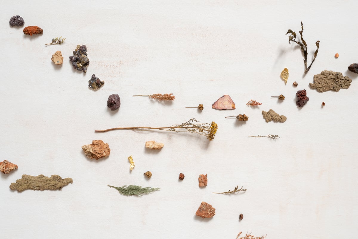 Ida Raselli: <i>som et landskab vil det levende</i>, 2023. Installationsview, Afgang 2023, Kunsthal Charlottenborg. Foto af David Stjernholm.