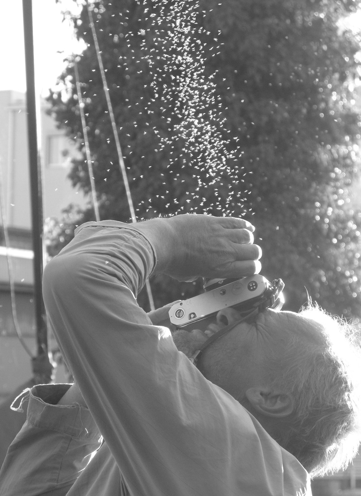 Portræt af Jochen Lempert. Foto: Regine Steenbock