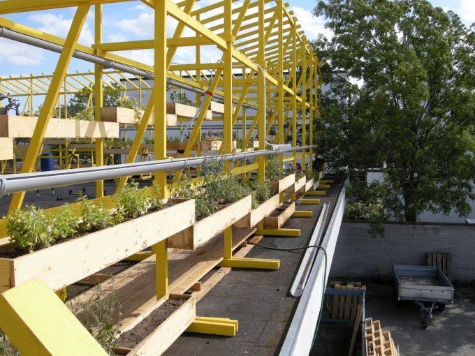 Arkitekt Carsten Hoff og kunstner Nis Rømer har bygget en nyttehave på taget af bazaren. Foto: Matthias Hvass Borello