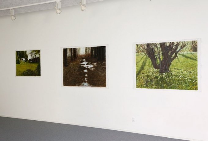 Nils Ryberg: <i>Vasketøj i haven</i>, 2013, <i>Skovvej Skjørring</i>, 2014 og <i>Ellestub i haven forår 2015</i>. Foto: Else Ploug Isaksen