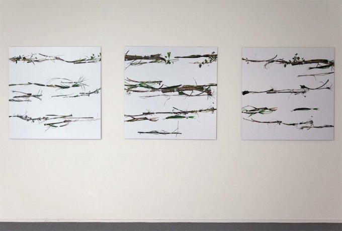 Jan Skovgaard: Serien <i>RE-weed</i>, 2012. Foto: Else Ploug Isaksen