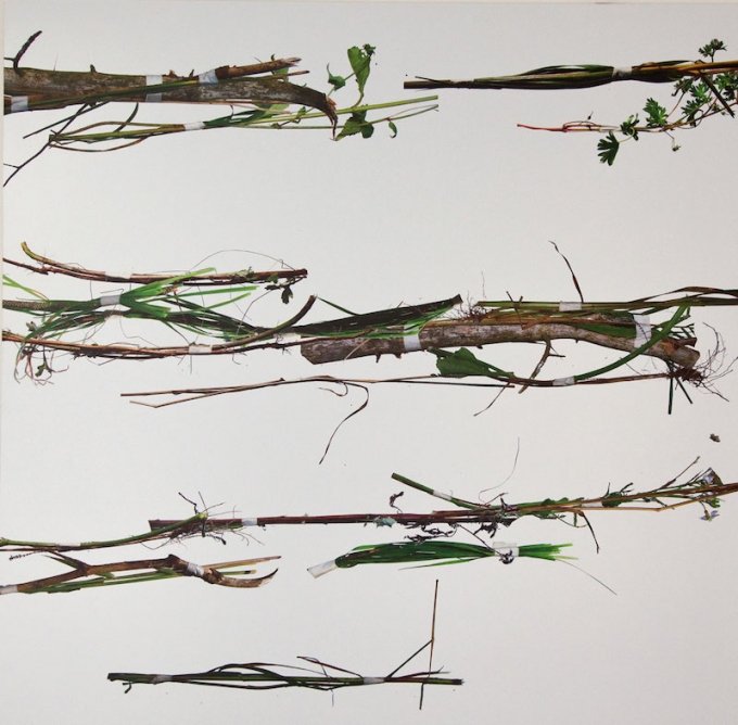 Jan Skovgaard: fra serien <i>RE-weed</i>, detalje, 2012. Foto: Else Ploug Isaksen