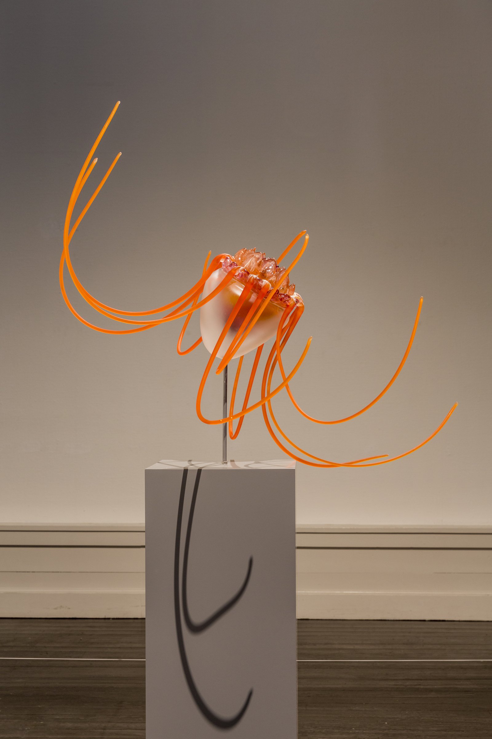 Tue Greenfort: <i>Periphylla</i>, <a href="https://artmatter.dk/venue/den-frie-udstillingsbygning">Den Frie Udstillingsbygning</a>. Foto: Lior Zilberstein