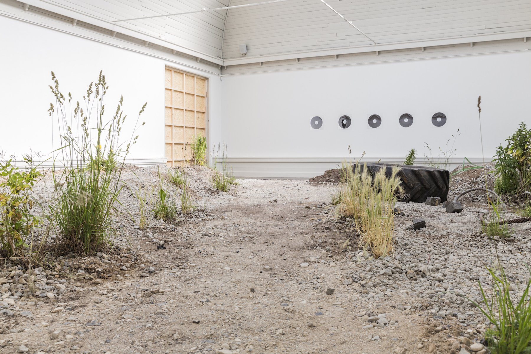 Tue Greenfort: <i>Ruderat</i>, Den Frie Udstillingsbygning. Foto: Lior Zilberstein