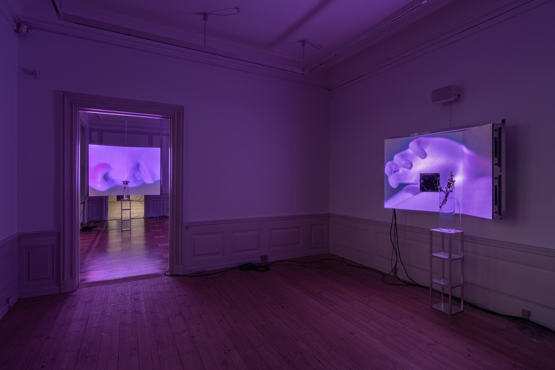 Jesper-Just: <i>Seminarium</i>, Gl. Holtegaard. Foto: David Stjernholm.