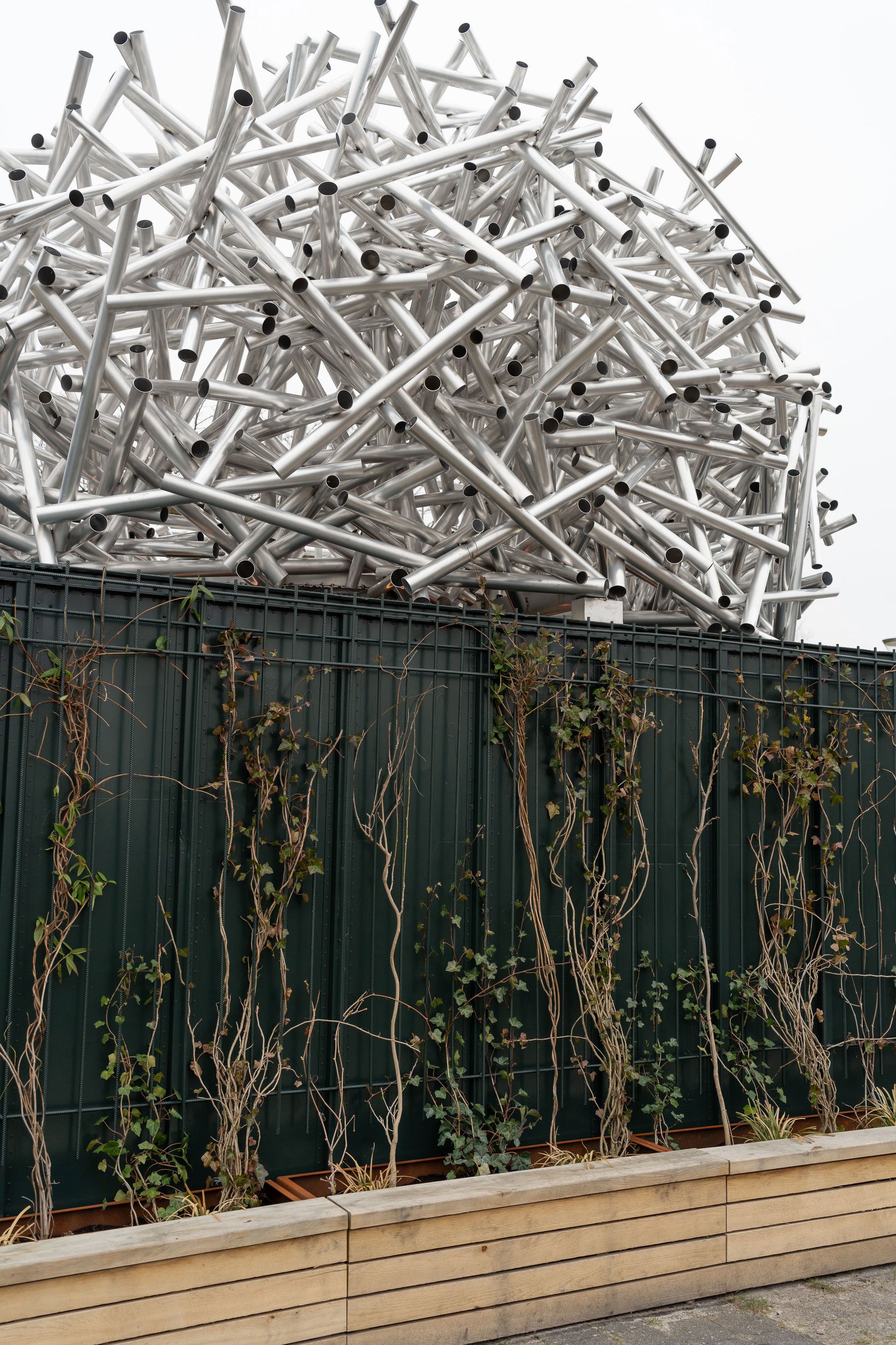Op af containerne vokser plantearterne: Aristolochia macrophyll, Parthenocissus inserta, Hedera hestor og Wisteria alba, med tiden vil de flettes ind i kunstværket og skabe en organisk krone. Foto: Oskar Koliander