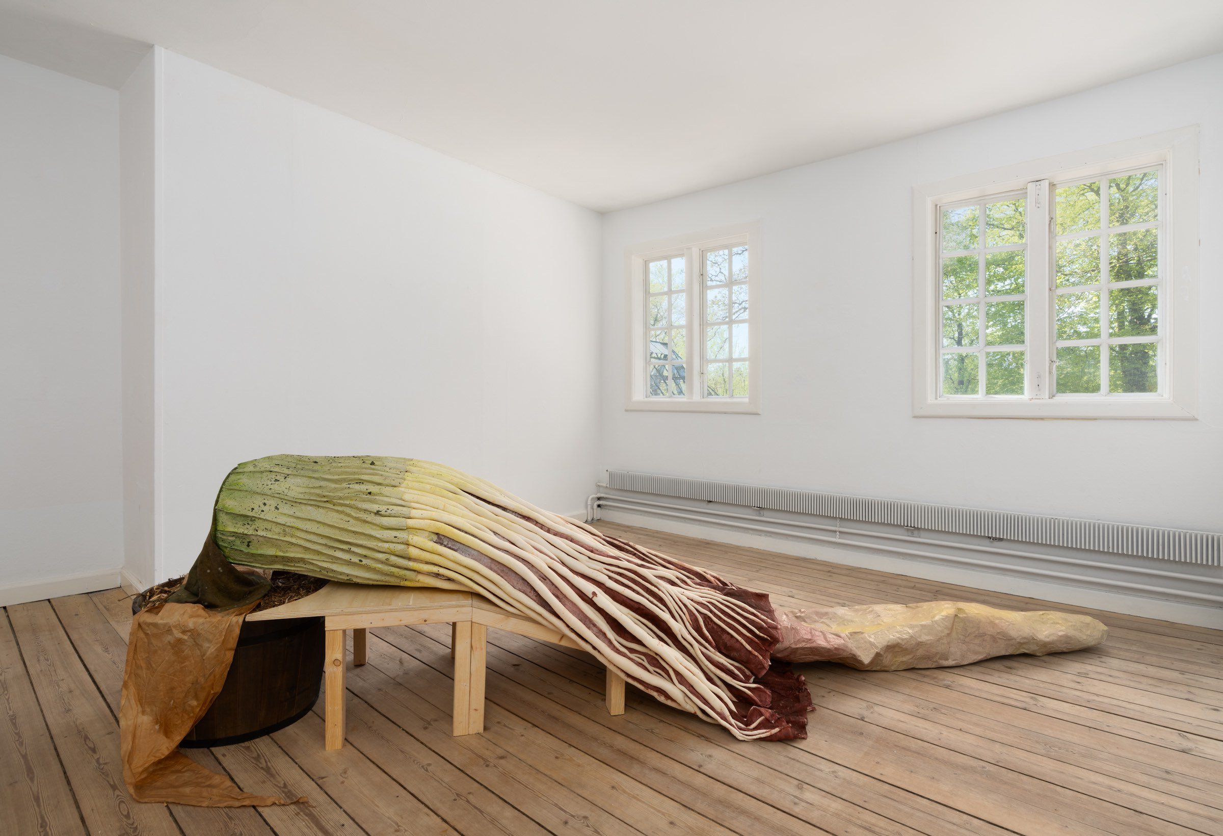 Ingela Ihrman, Amorphophallus titanum, 2013/2023. Foto: David Stjernholm