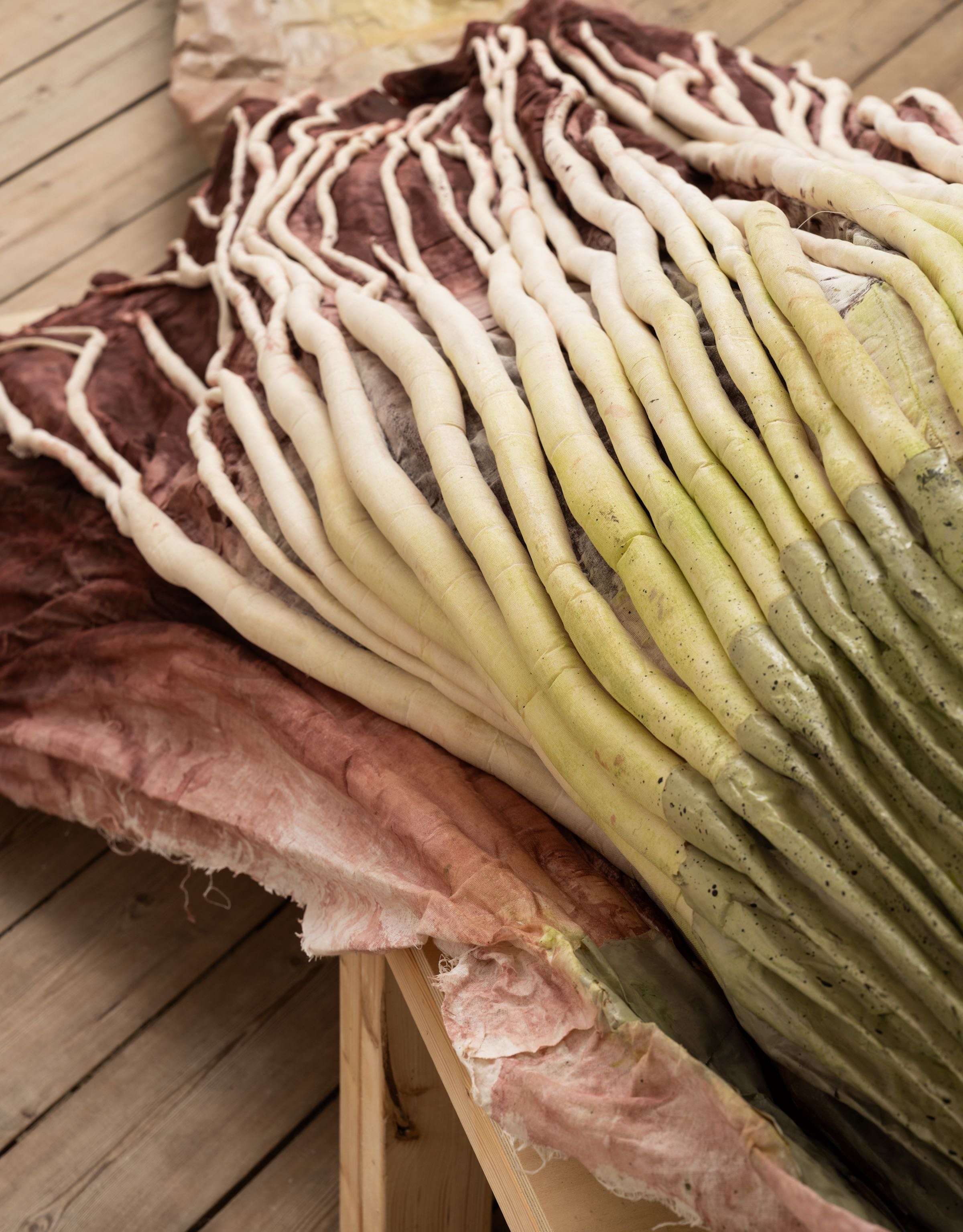 05: Ingela Ihrman, Amorphophallus titanum, 2013/2023. Foto: David Stjernholm