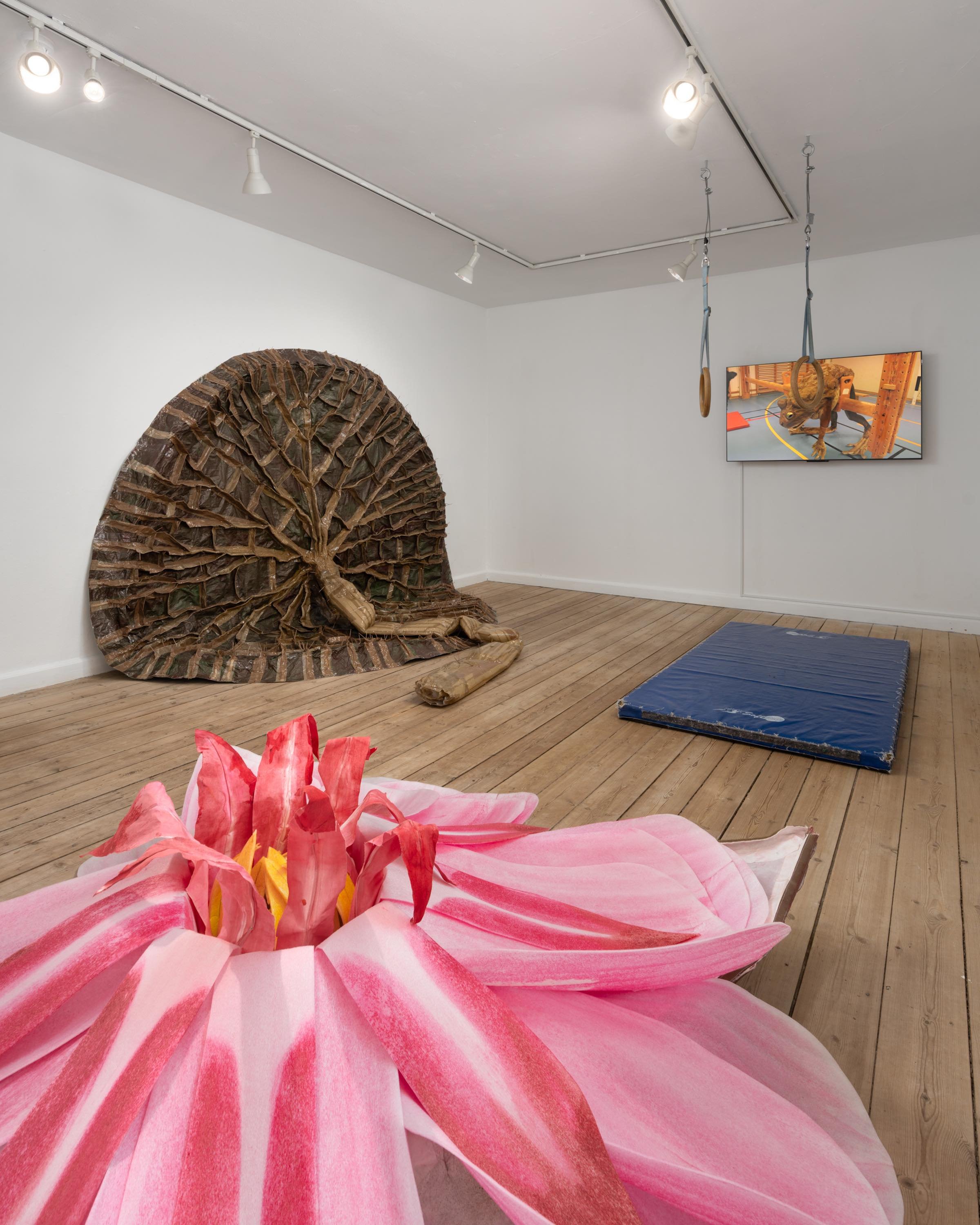 07: Ingela Ihrman, Kæmpeåkanden Victoria amazonica, 2012 (og Padden, 2013). Foto: David Stjernholm