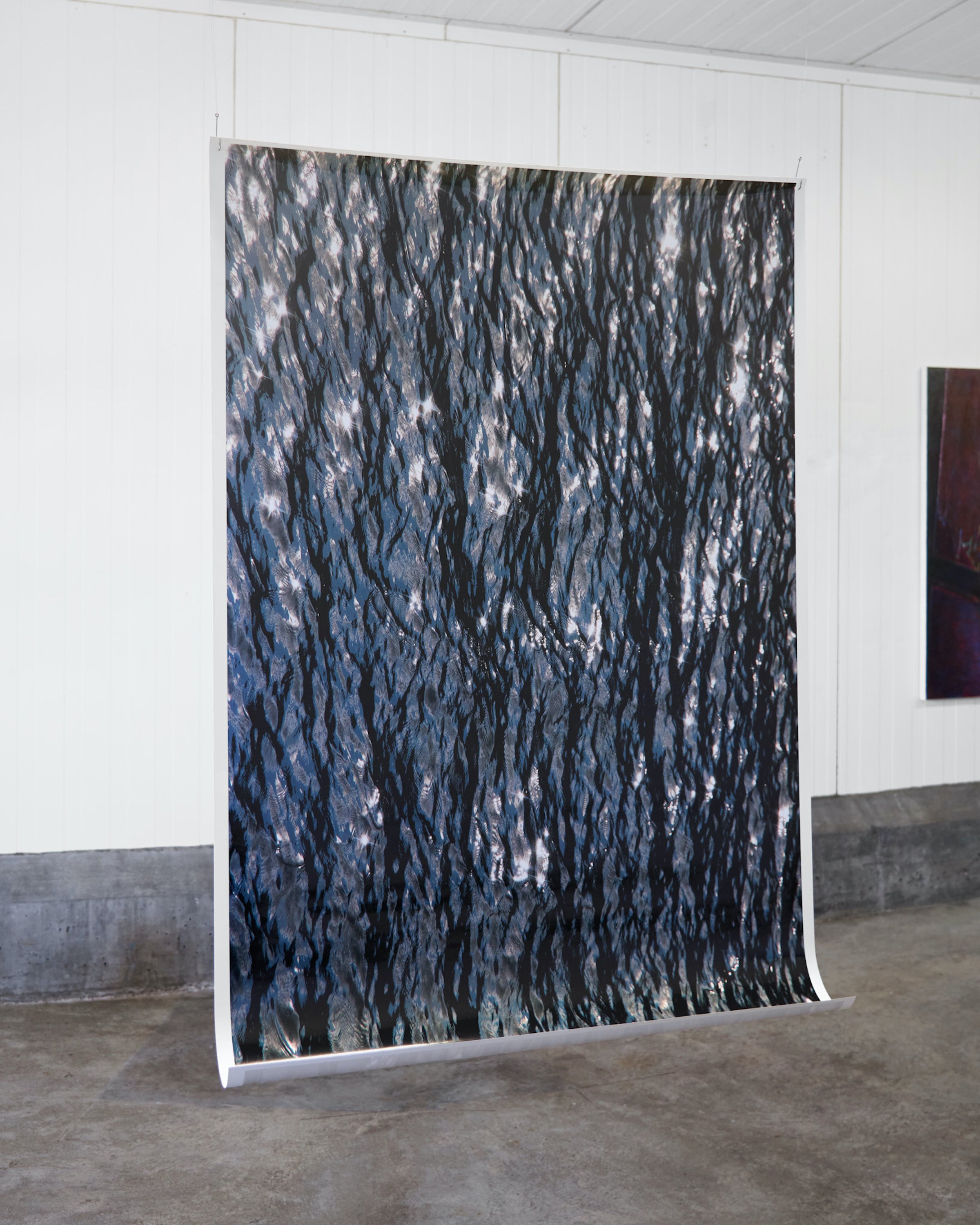 Adriana João. Uden titel, 2023. Inkjet-print på blankt fotopapir. Foto: Brian Kure