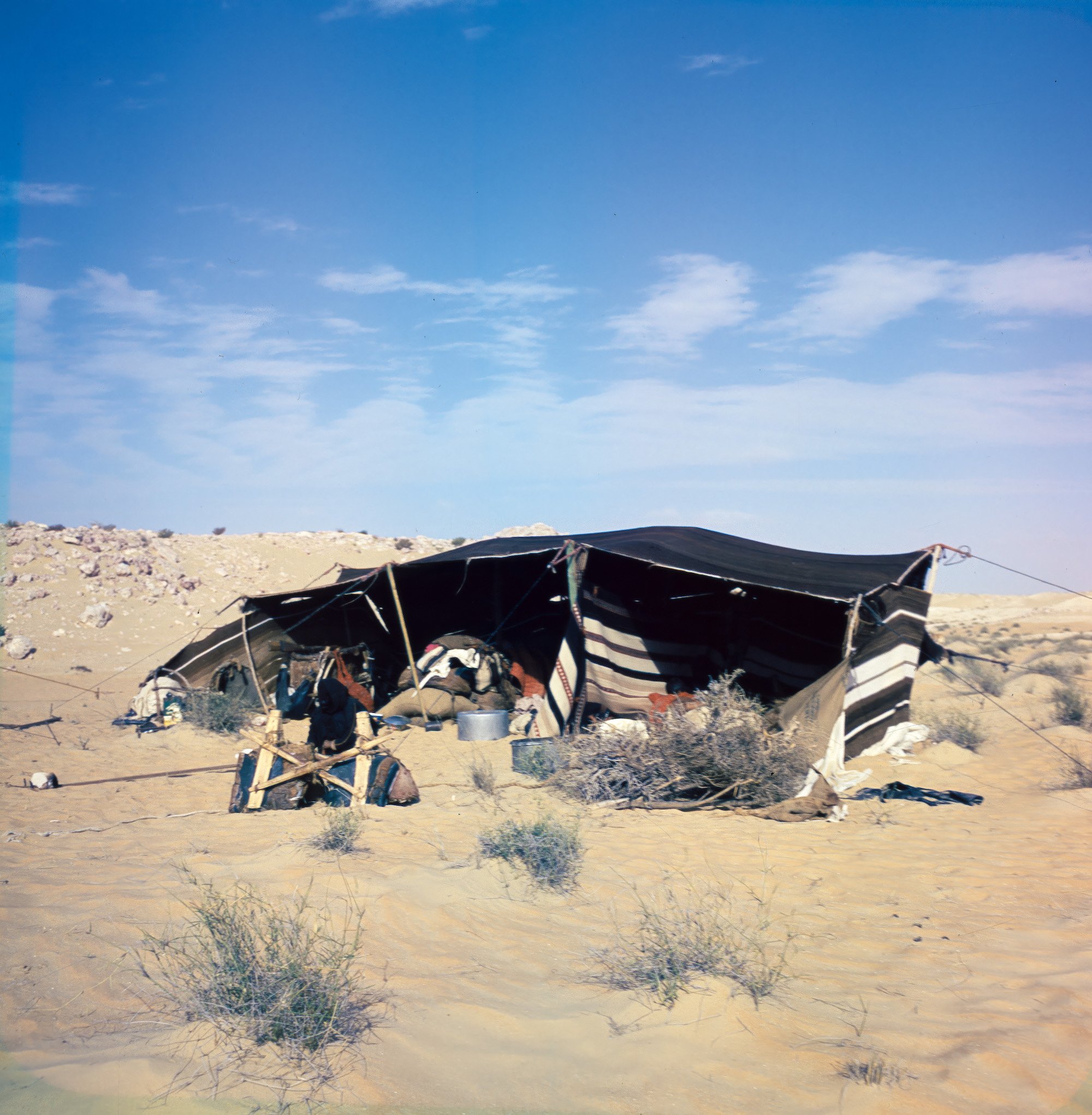 Foto: Jette Bang, 1959.