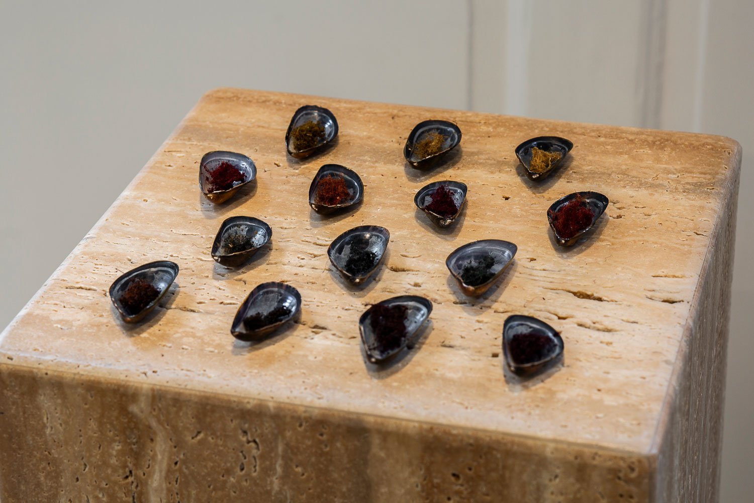 Maja Lund <i>Byssus Color Chart </i> 2024 Foto: Hedda Rabe