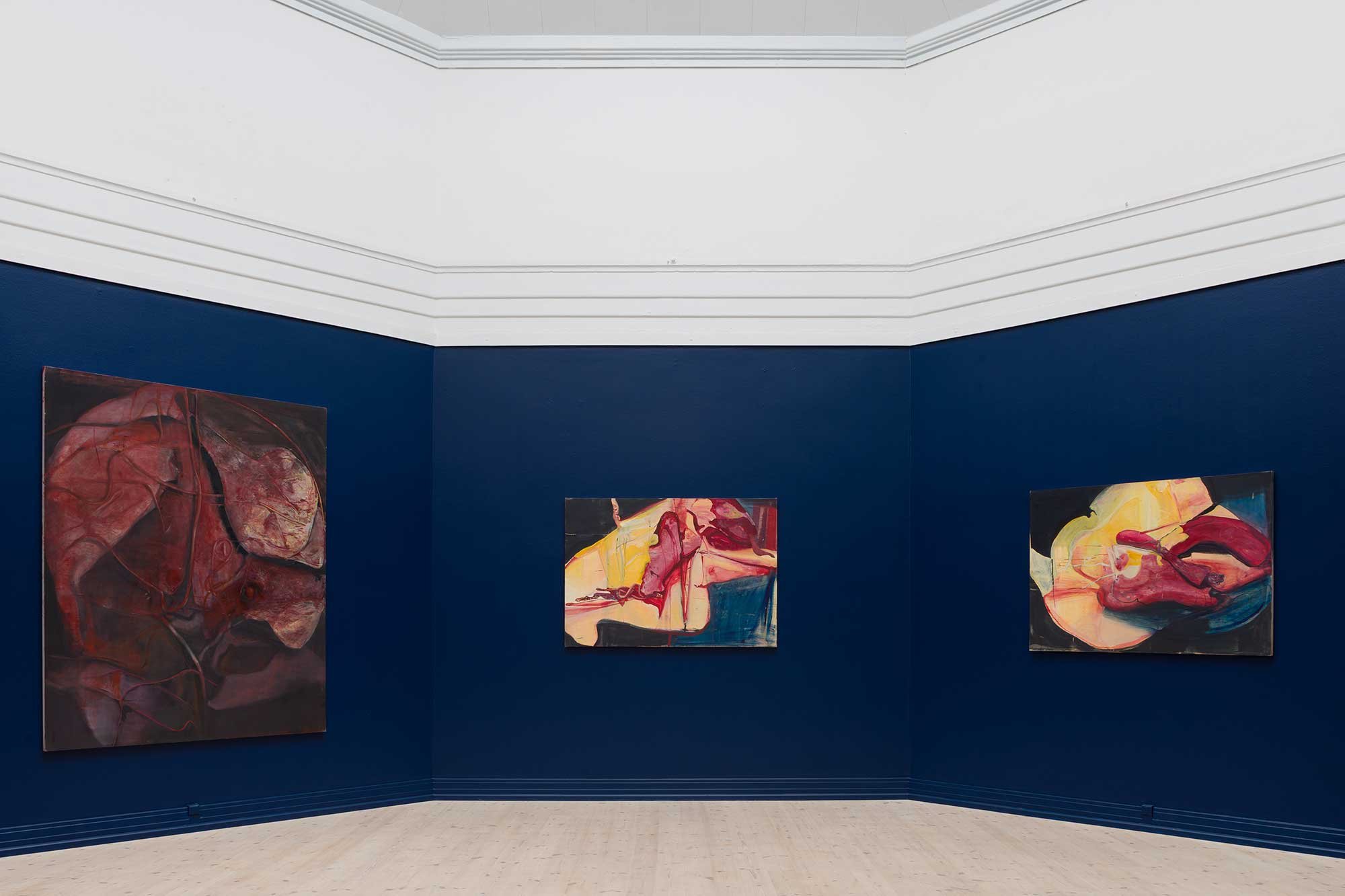 Installationsbillede fra <i>I am your Body: Chapter 2</i>. Foto: Jacob Friis