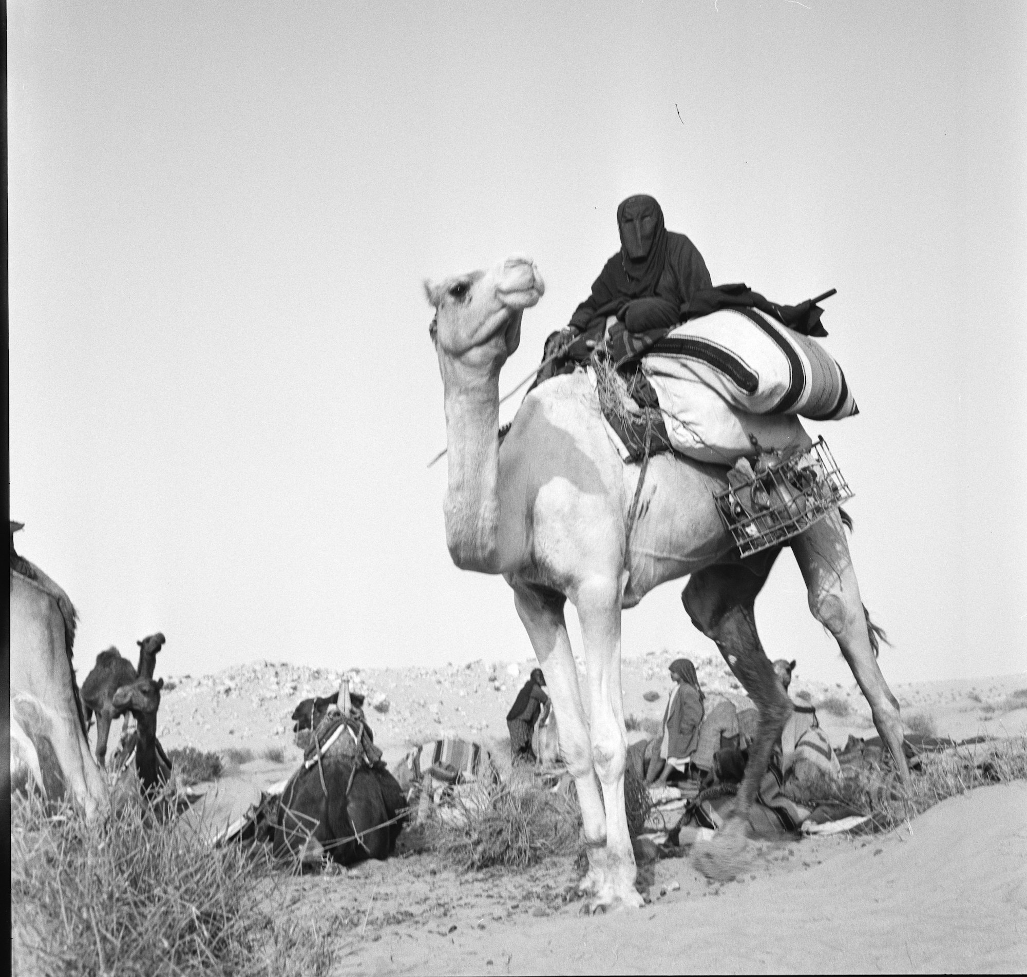 Foto: Jette Bang, 1959.