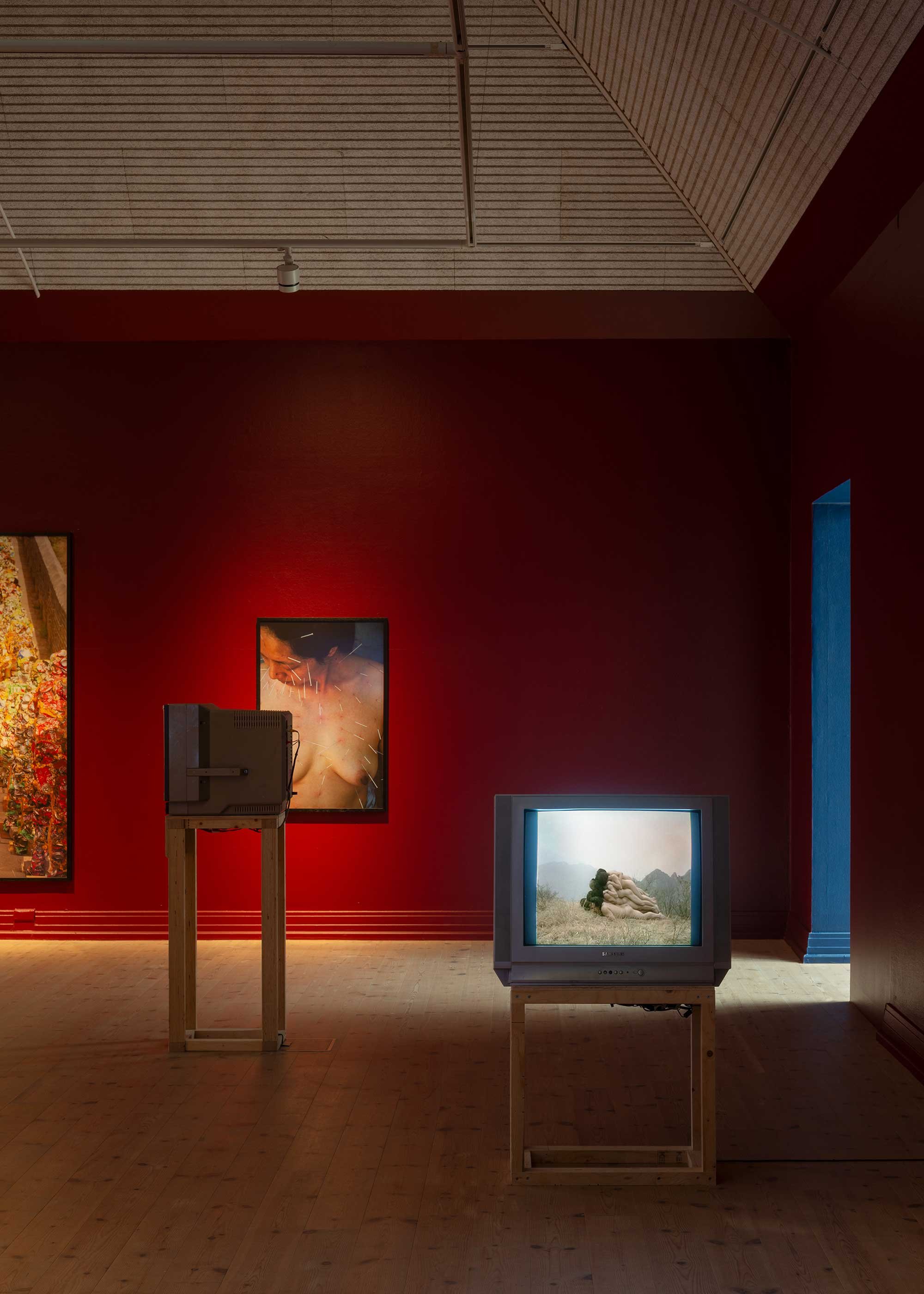 Installationsbillede fra <i>I am your Body: Chapter </i>2. Foto: Jacob Friis