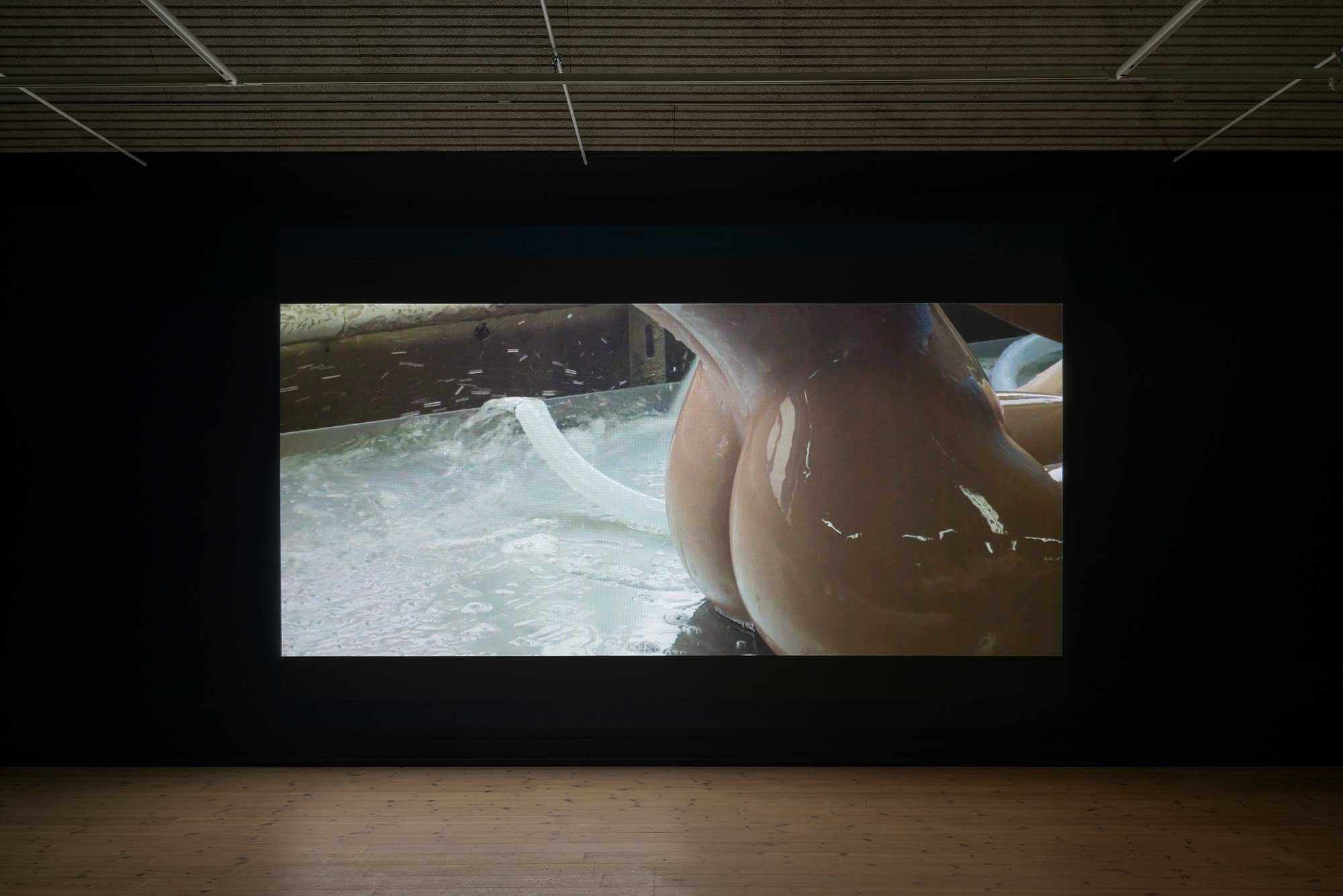 Installationsbillede fra <i>I am your Body: Chapter 2</i>. Foto: Jacob Friis