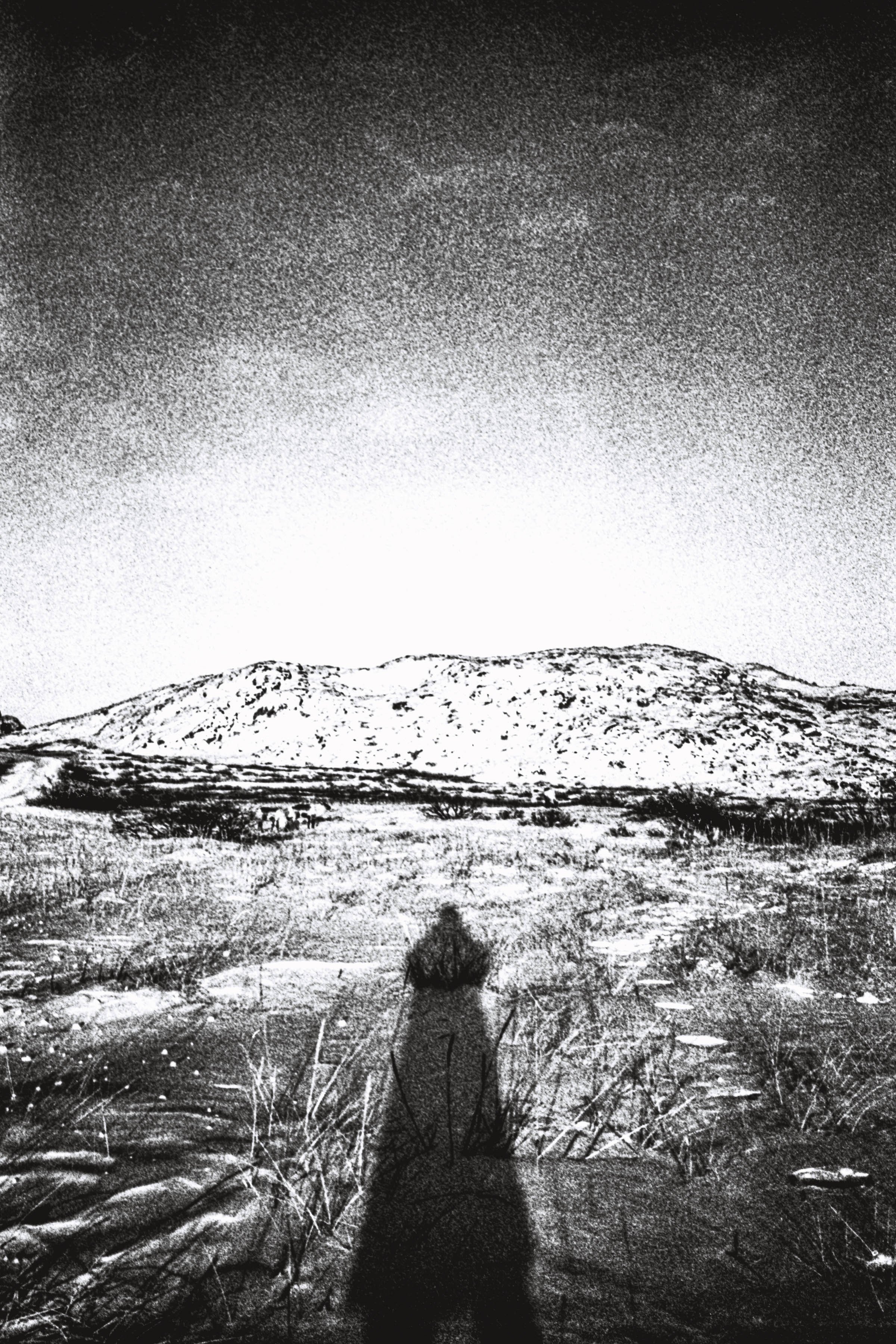 8 Inuuteq Storch Necromancer 2024 Courtesy kunstneren og Wilson Saplana Gallery