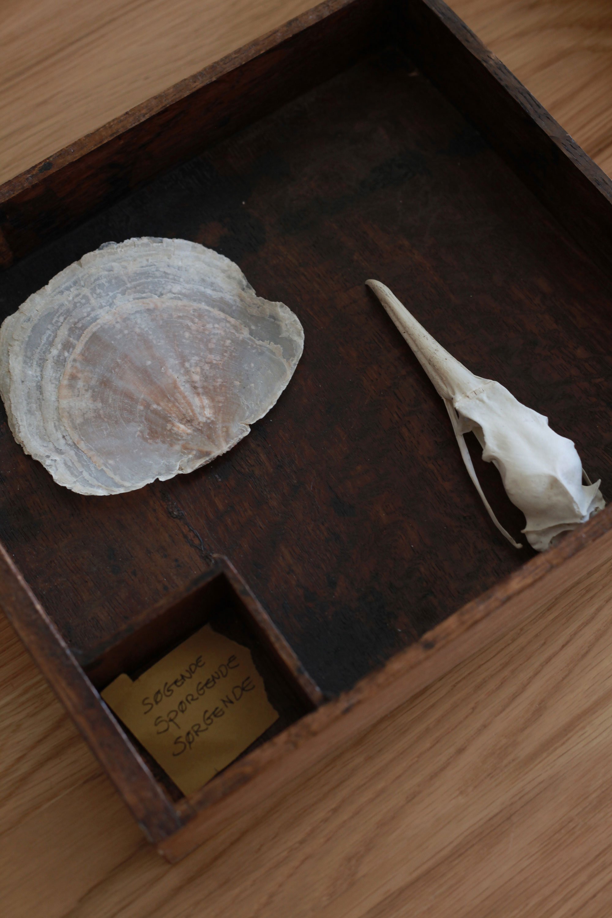 Installationsview fra udstillingen <i> Sten - Skelet - Silhuet</i>. Foto: Siw Aldershvile Nielsen 