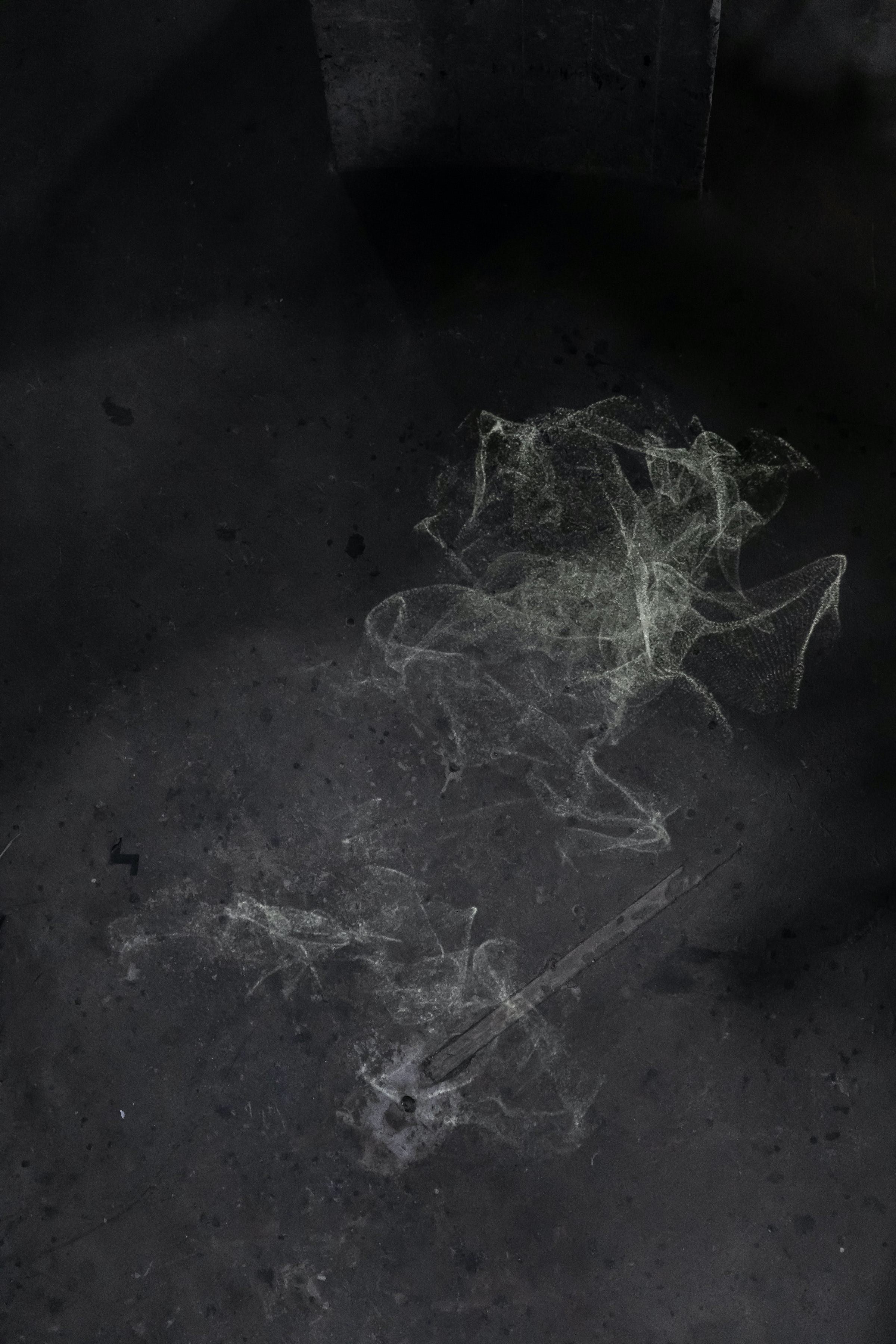 <i>Lys syntese</i> Kirstine Autzen (medie: videoer og animationer). <i>Tang: Transformationer</i>. Brønshøj Vandtårn, 2025. Foto: Kirstine Autzen