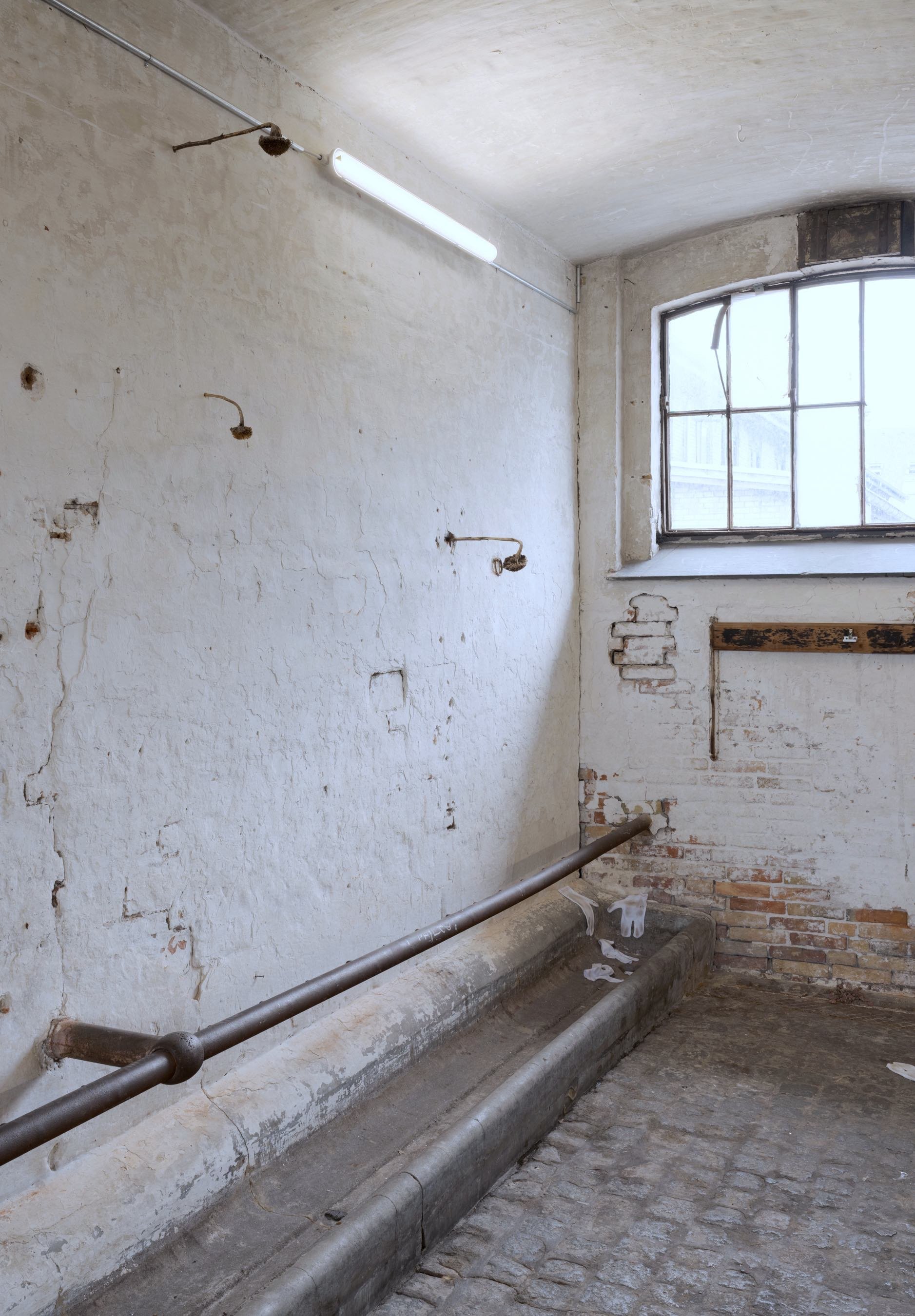 Abattoir Foto: David Stjernholm