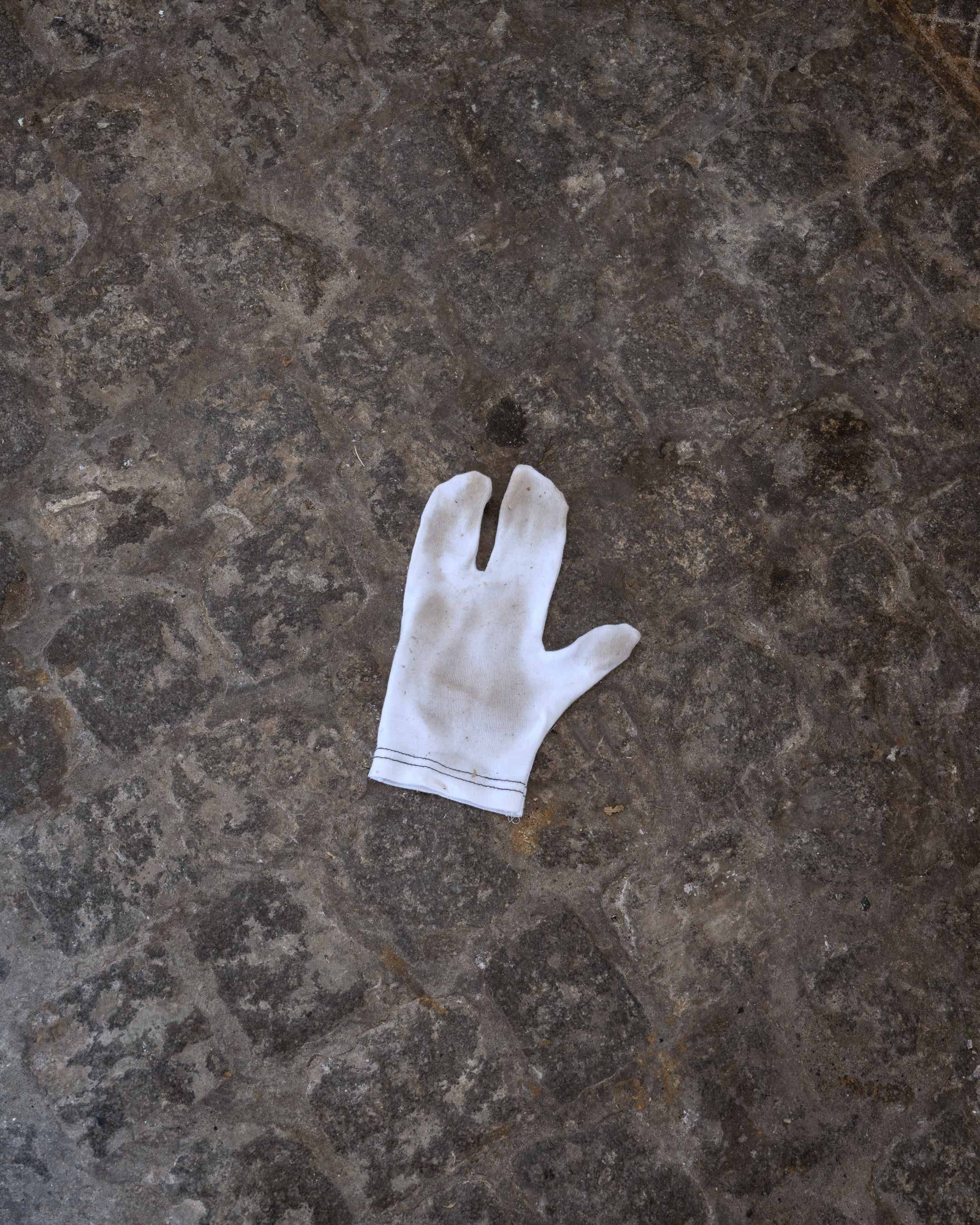 Abattoir Foto: David Stjernholm