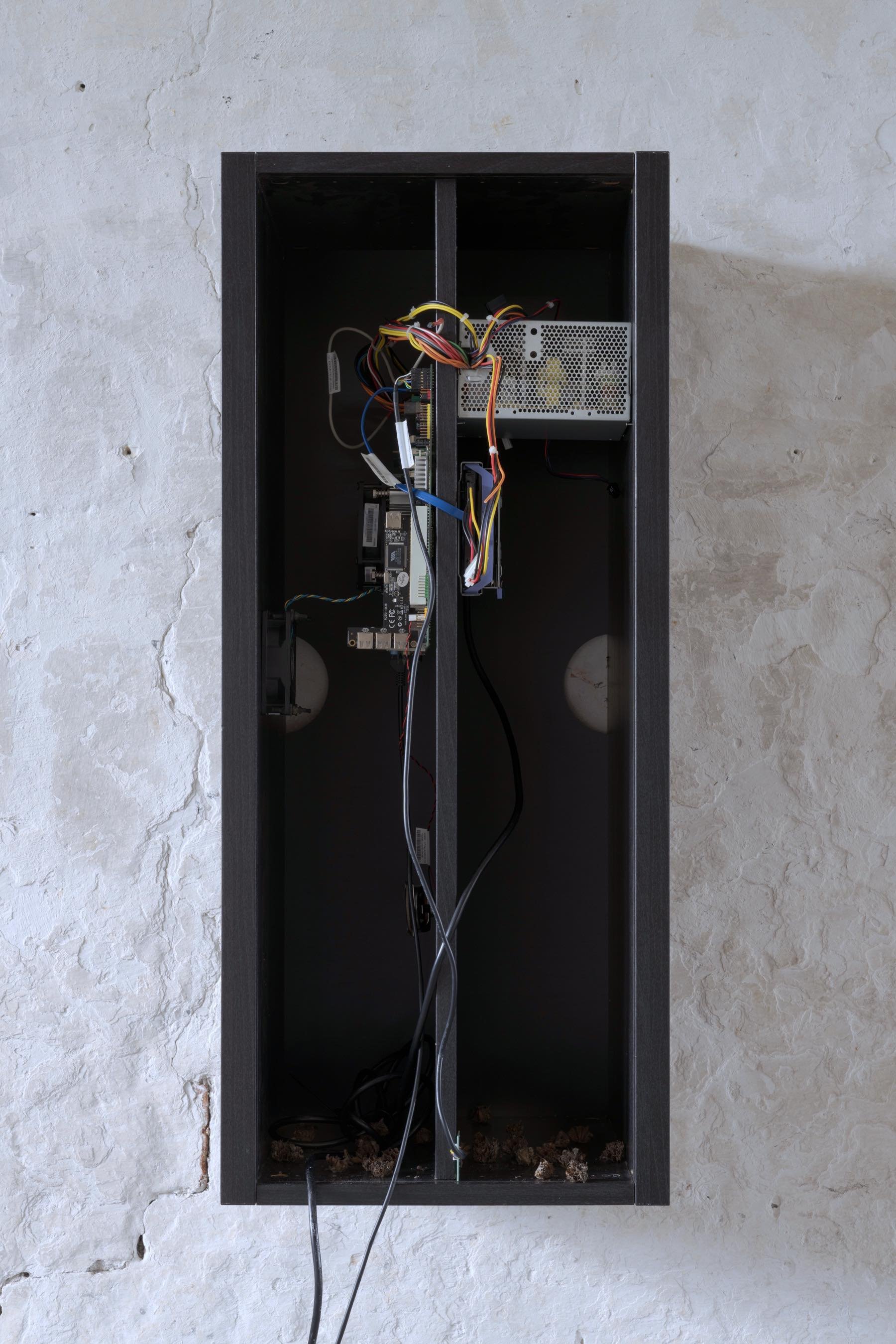 Abattoir Foto: David Stjernholm