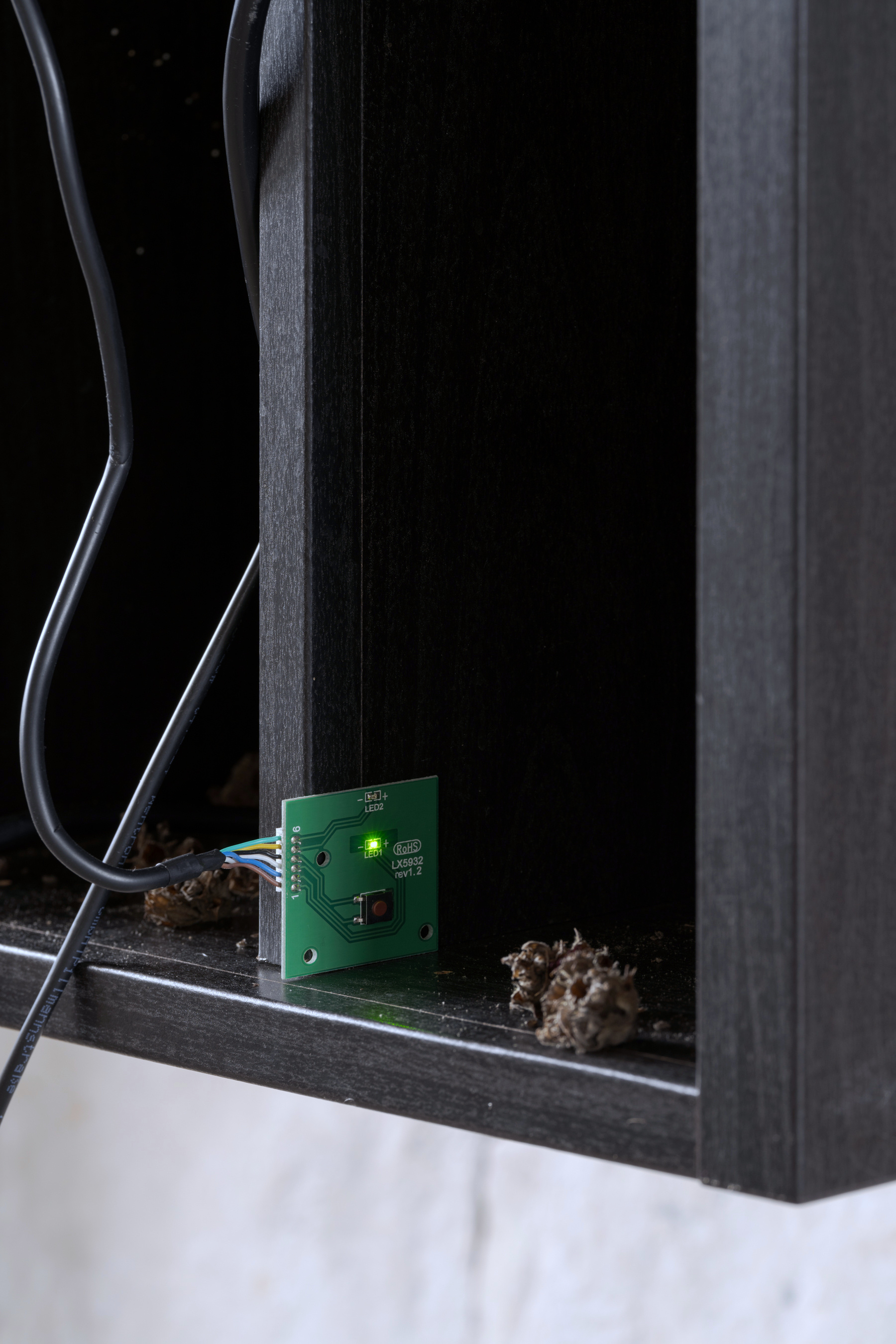 Abattoir Foto: David Stjernholm