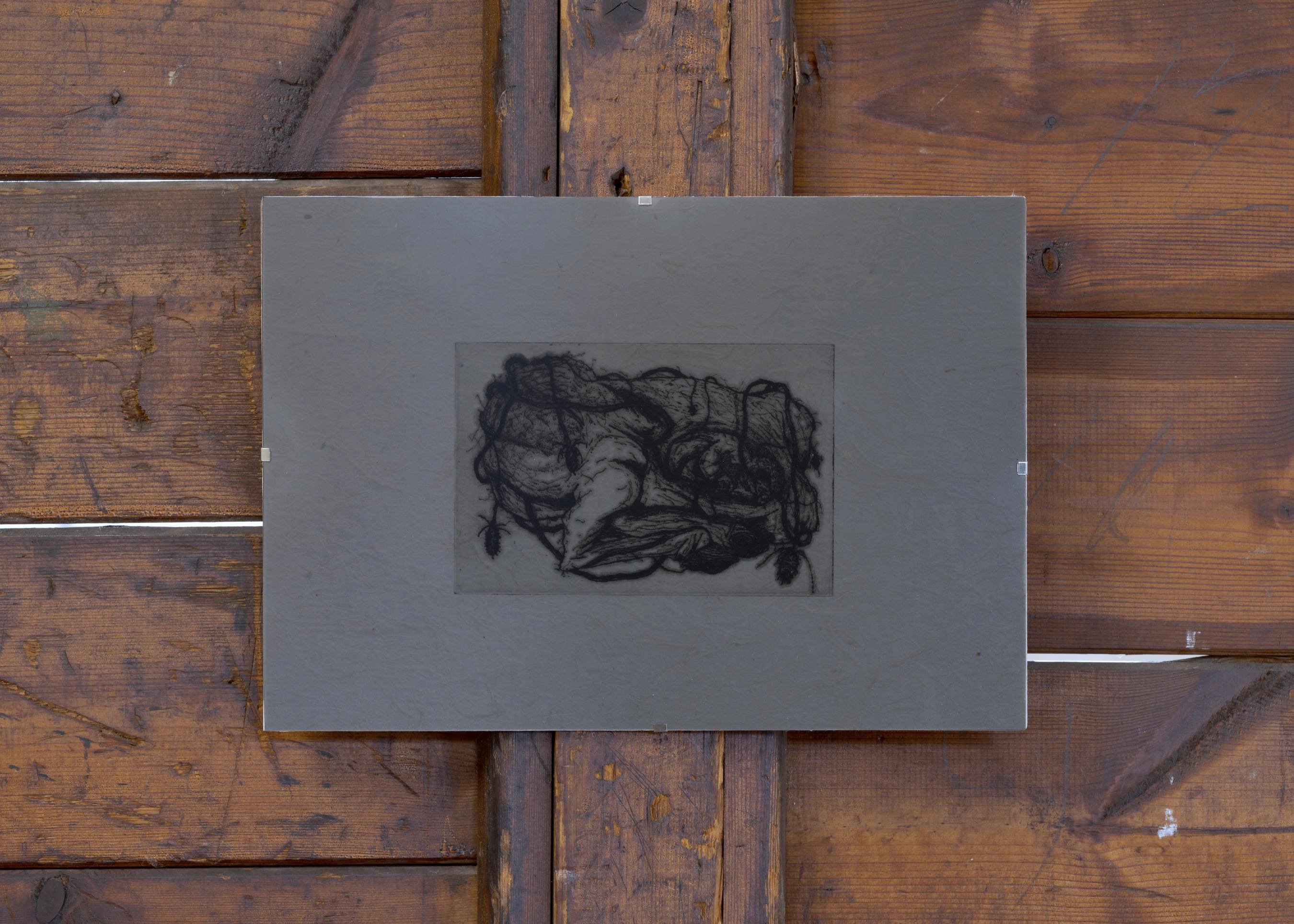 <i>c a r r i e r</i>. Drypoint on mulberry paper, clip frame, privacy film.
Foto: David Stjernholm