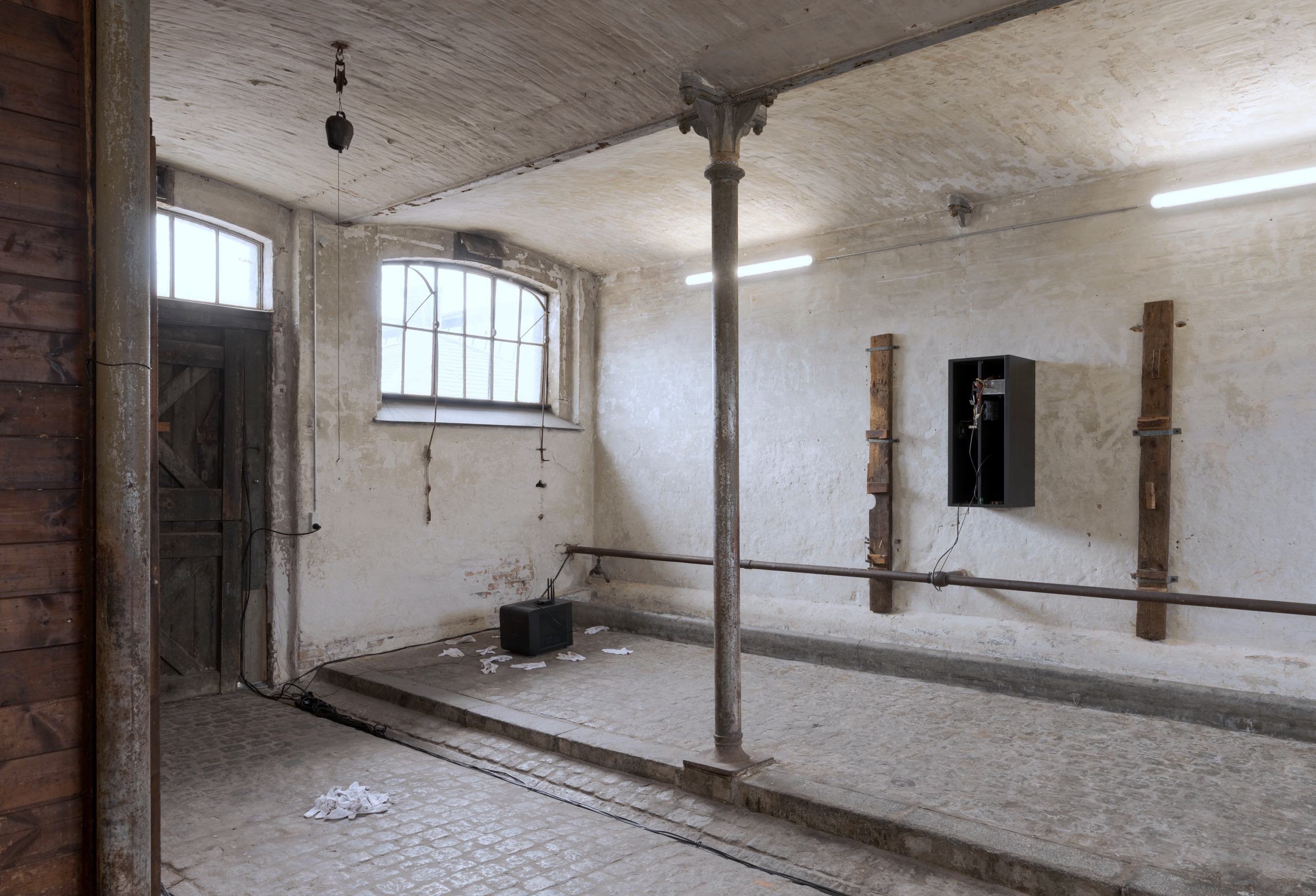 Abattoir Foto: David Stjernholm