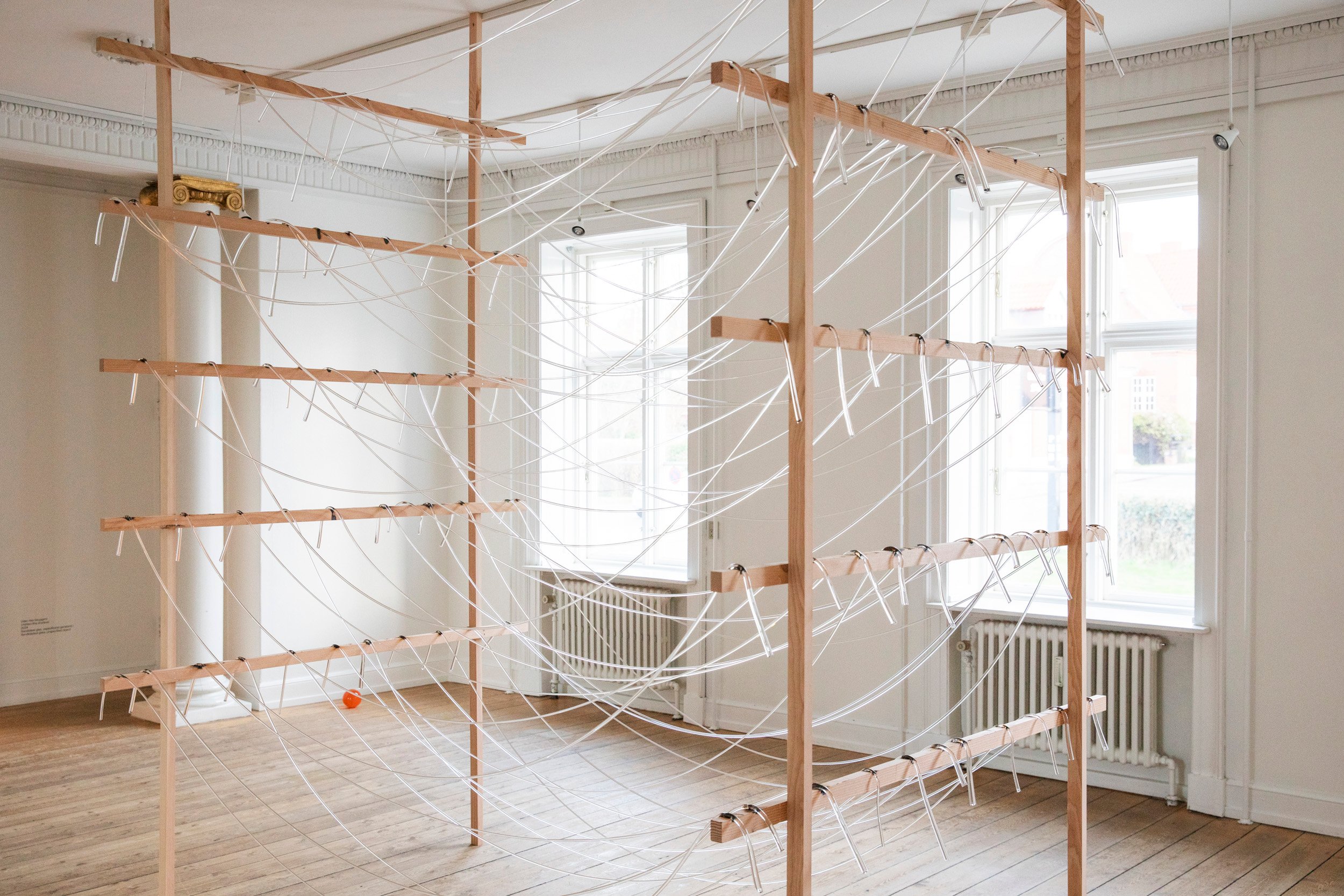 Tove Storch, <i>Uden titel (buerne)</i>, glas, træ, 2024. Foto: Kasper Palsnov/Glas