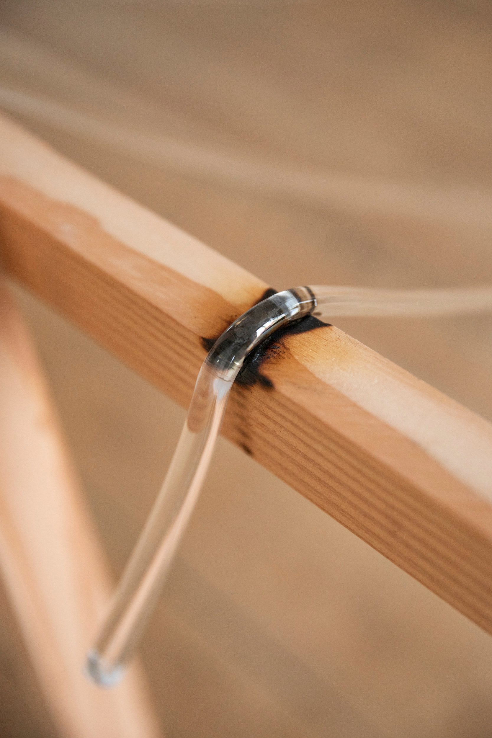 Tove Storch, <i>Uden titel (buerne)</i>, glas, træ, 2024. Foto: Kasper Palsnov/Glas