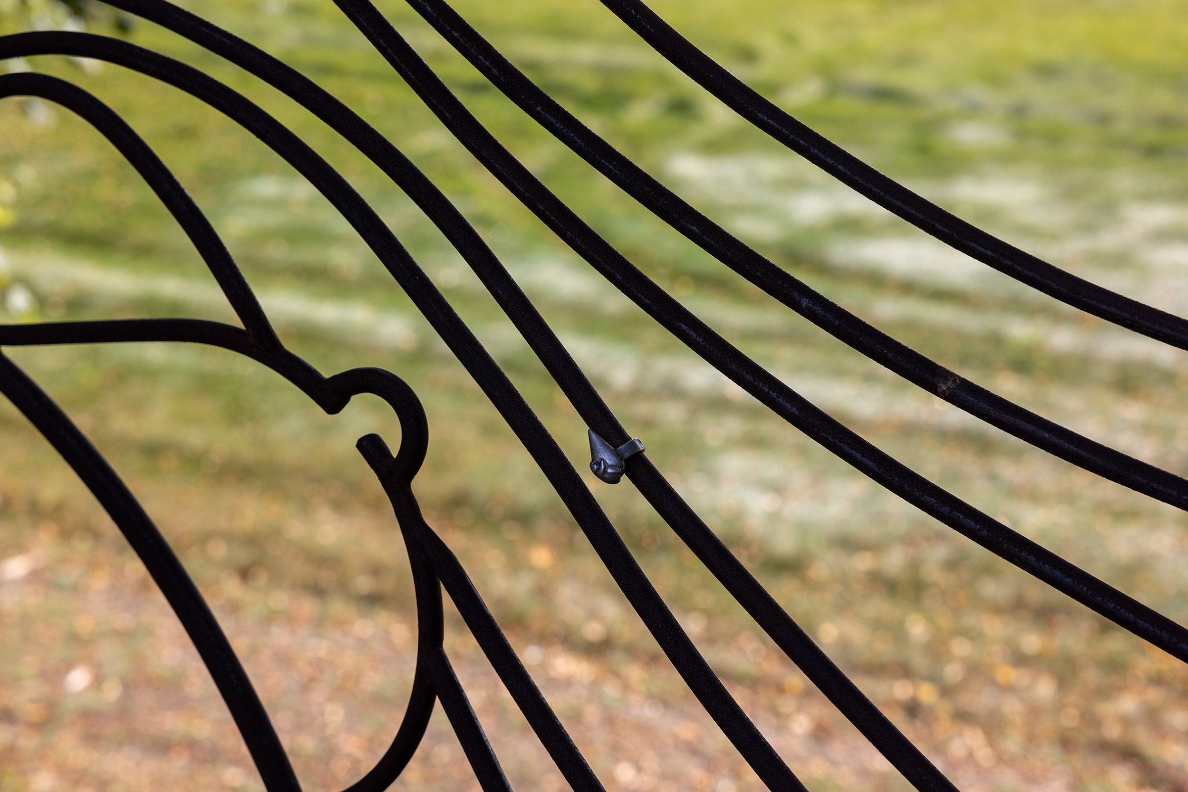 DITTE GANTRIIS
Liljerne på altanen er sprunget ud … , 2022
Smedejern, sølvsmykke, digt
Fuglsang Kunstlandskab
Tilhører Fuglsang Kunstmuseum