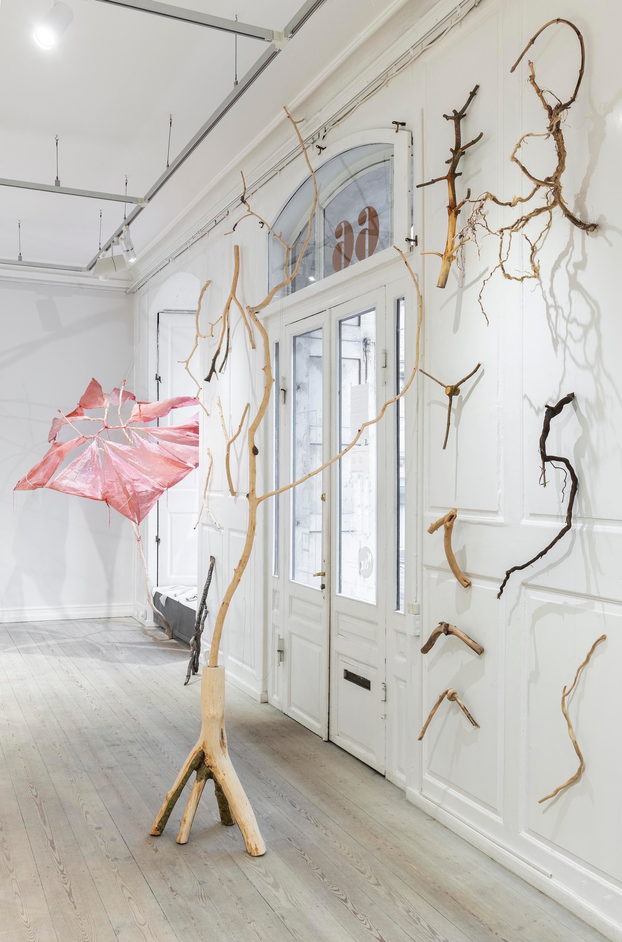 Grentyper. Installationsview. 2025. Foto: Ole Akhøj<br />