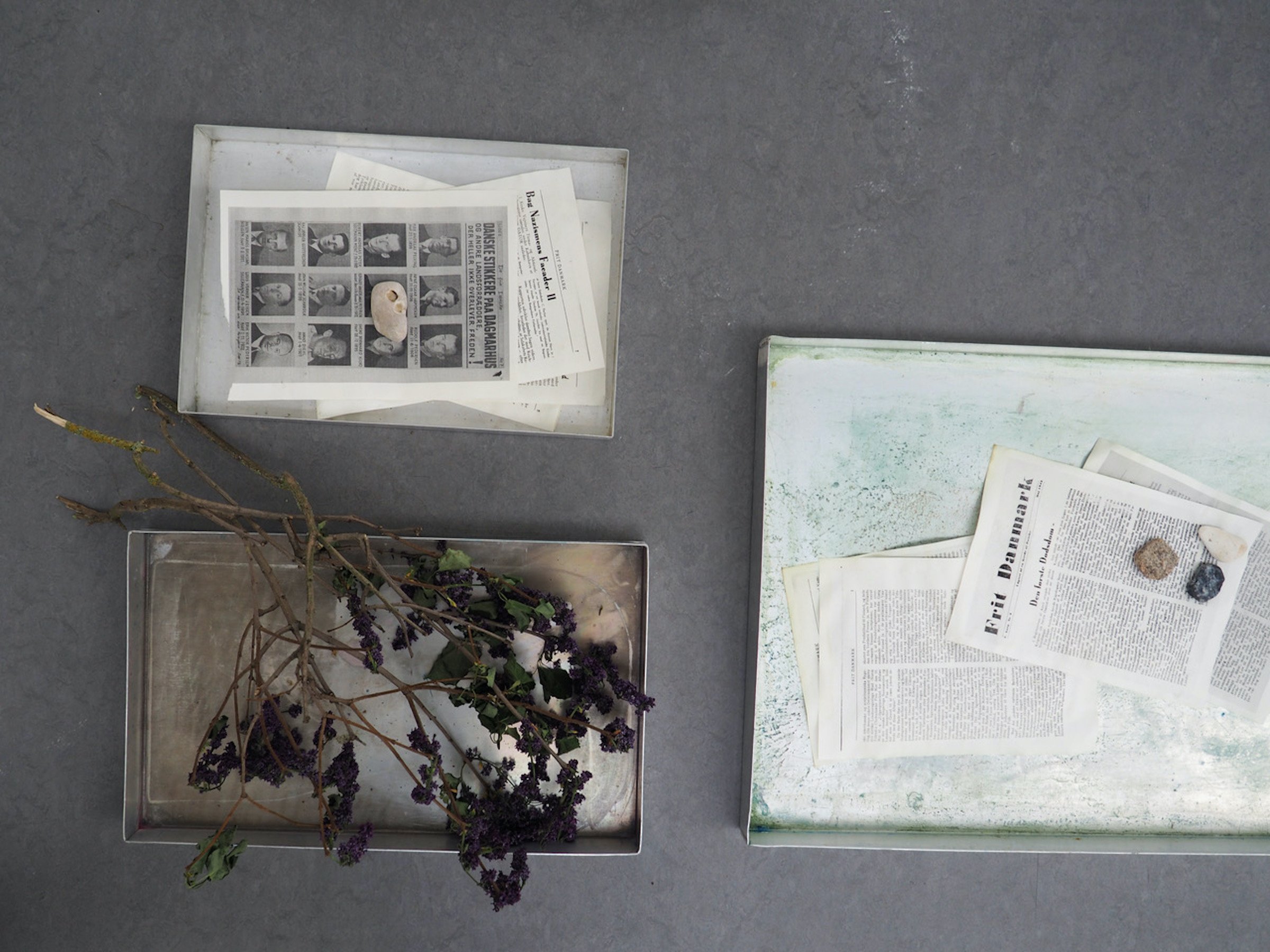 <i>Frit Danmark</i>. Installation. Print af illegale blade og fundne objekter (2025). Augusta Atla.