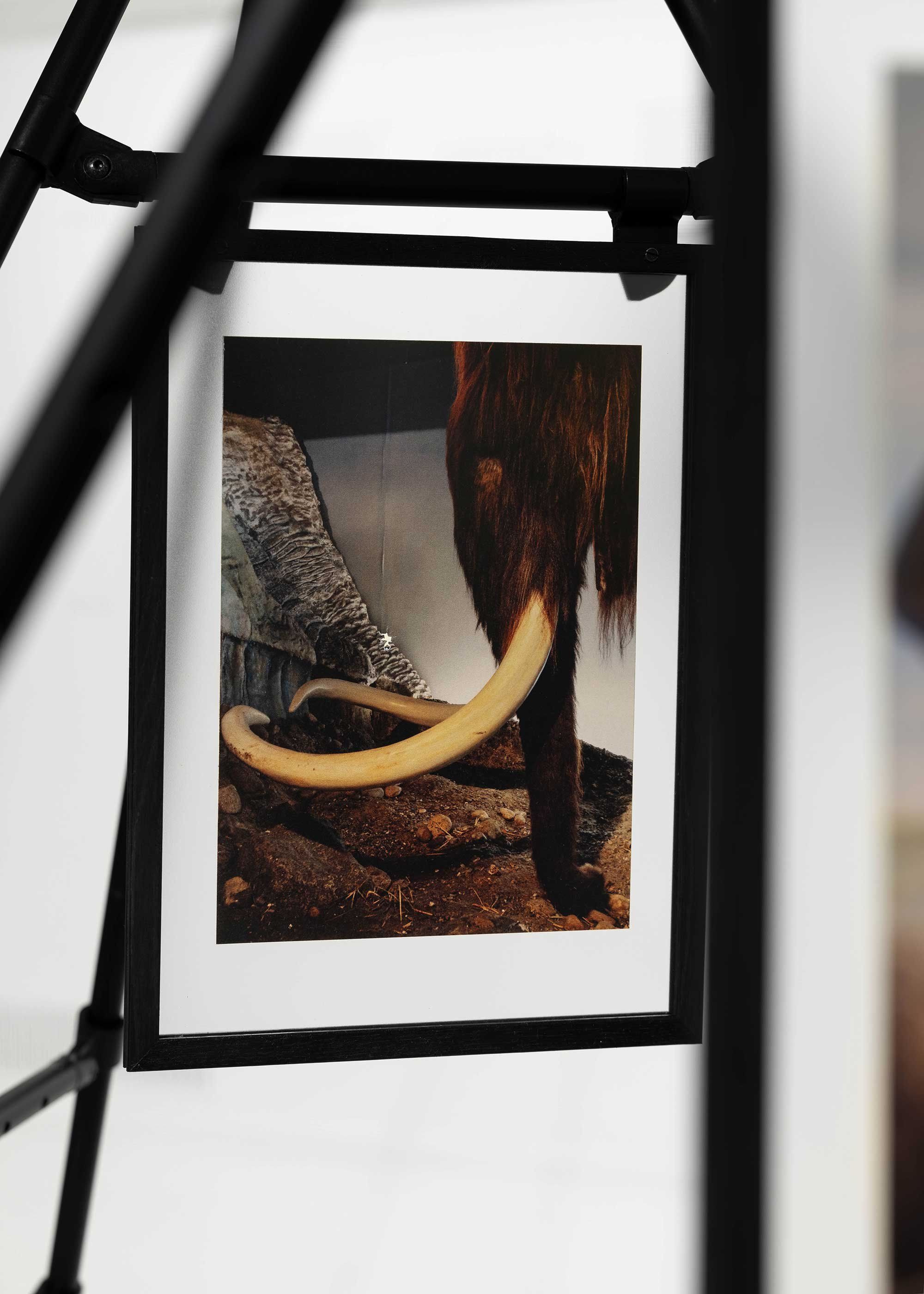 Installationsfoto fra udstillingen <i>HUN</i>. Foto: Mikkel Kaldal