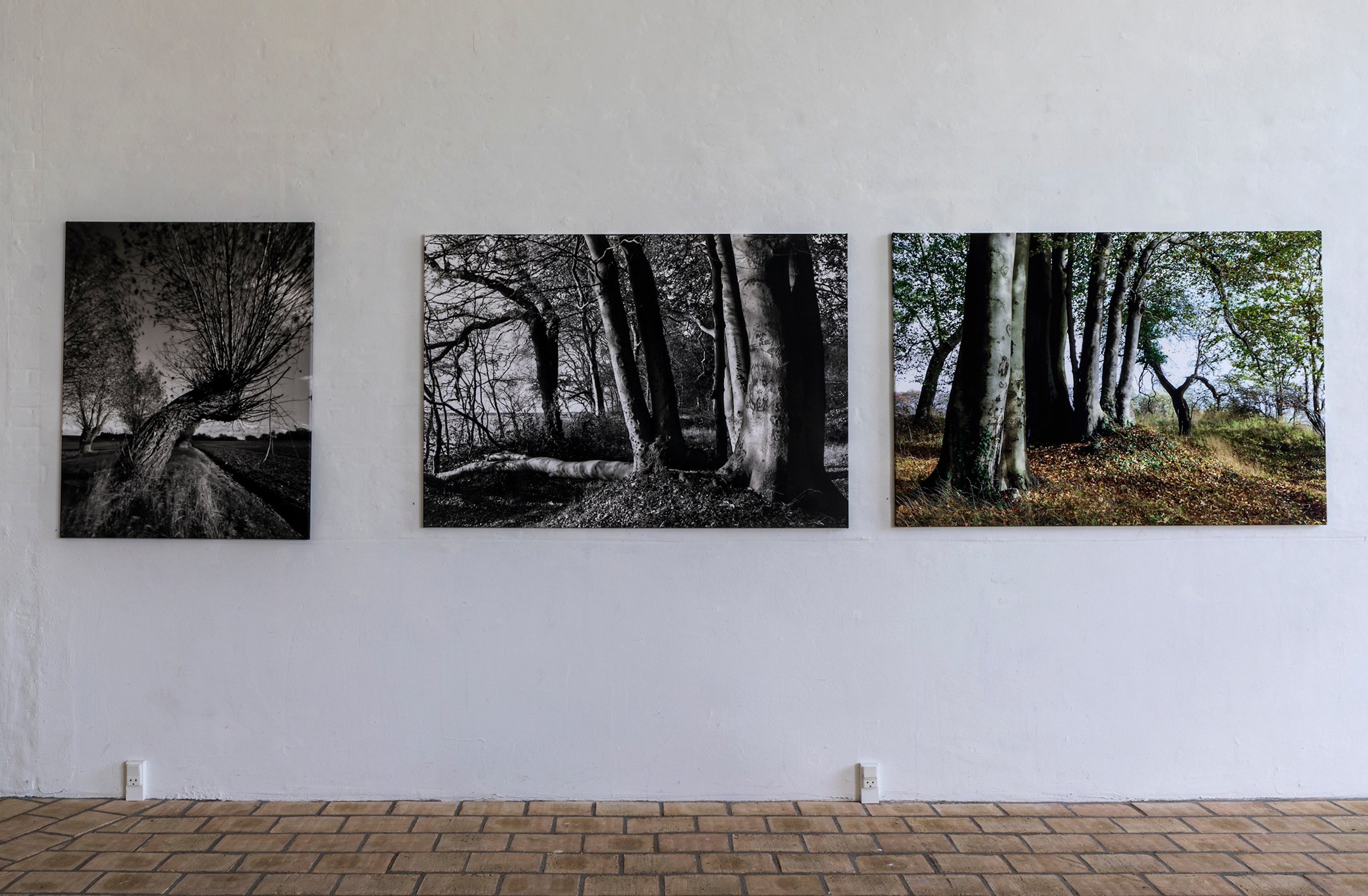 Kunstbygningen i Vrå Wild VoicesKirsten Klein installation view