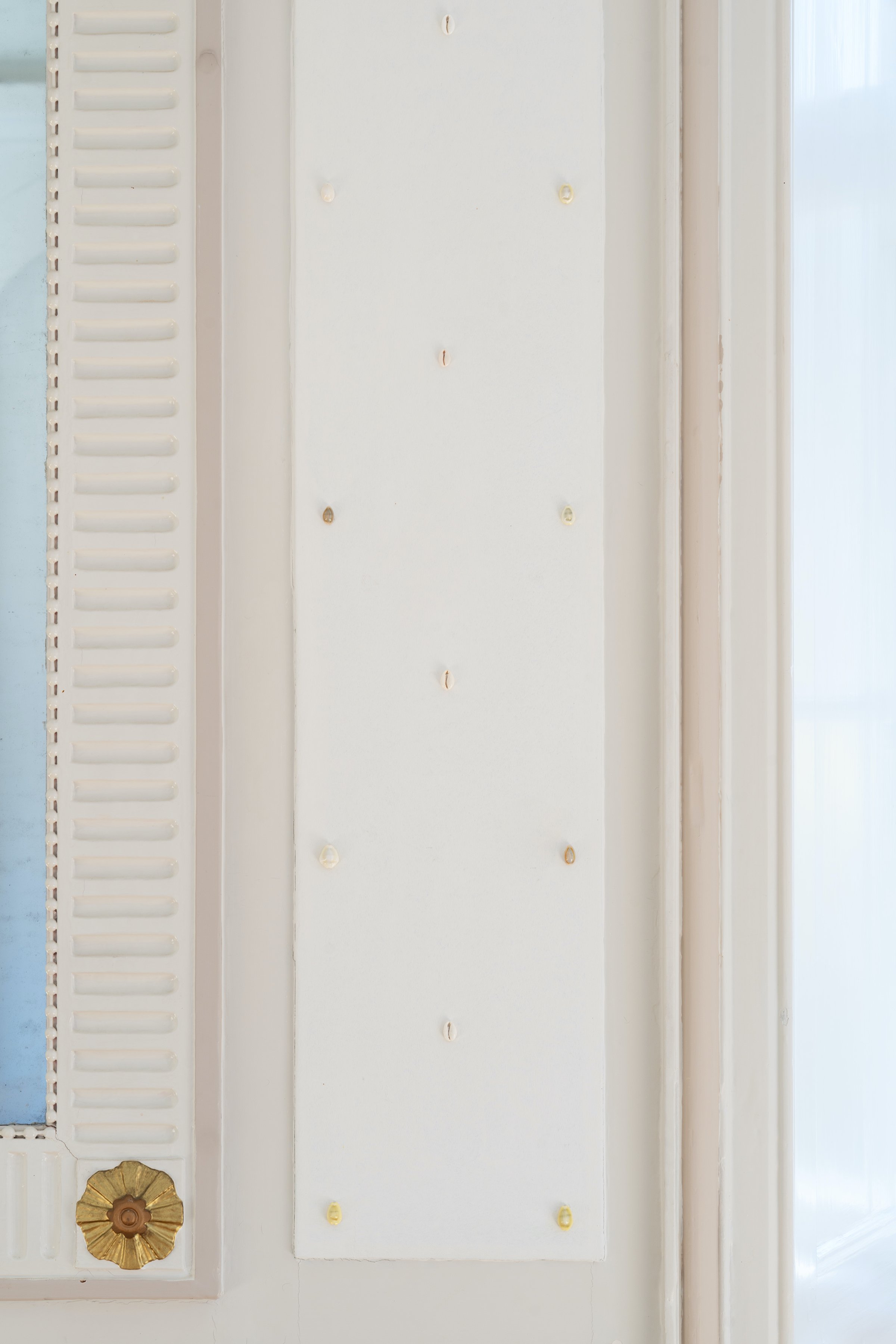 Line Sandvad Mengers, <i>Cypraea moneta</i>, 2025. Foto: Jacob Friis-Holm Nielsen