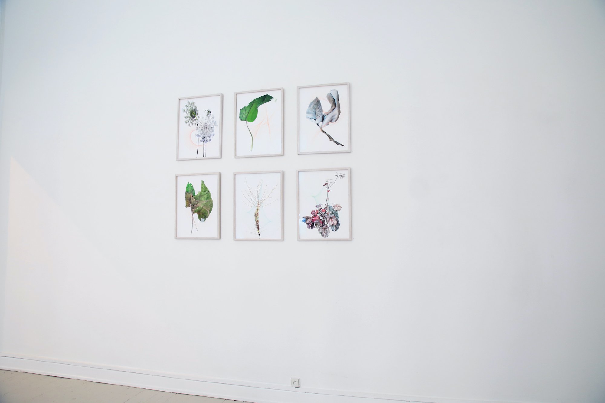 Udstillingsview: Lotte Agger. Foto: Sofie Hertz.