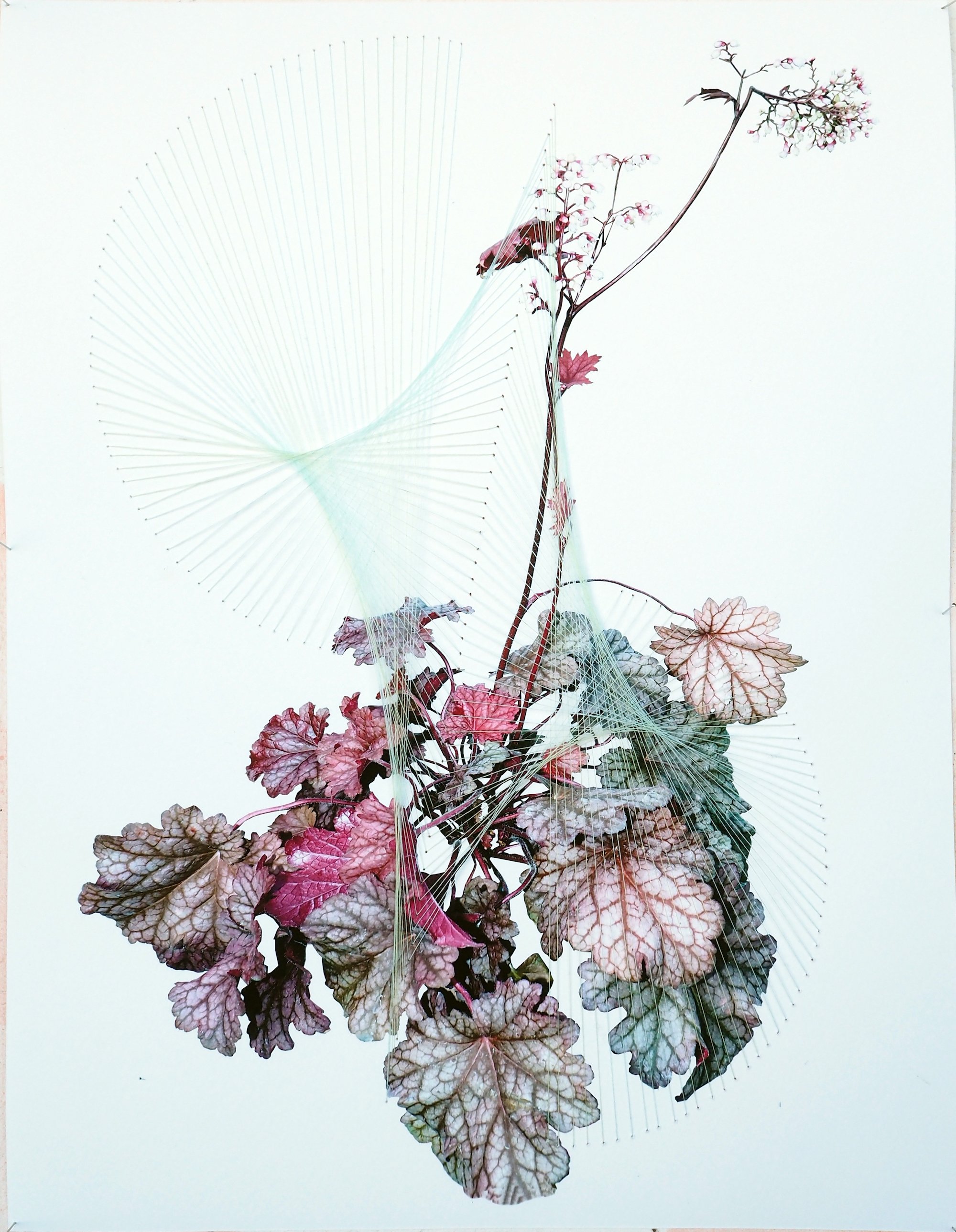 Lotte Agger, Uden titel, foto, syning på bomuldspapir, 2025. Foto: Lotte Agger.