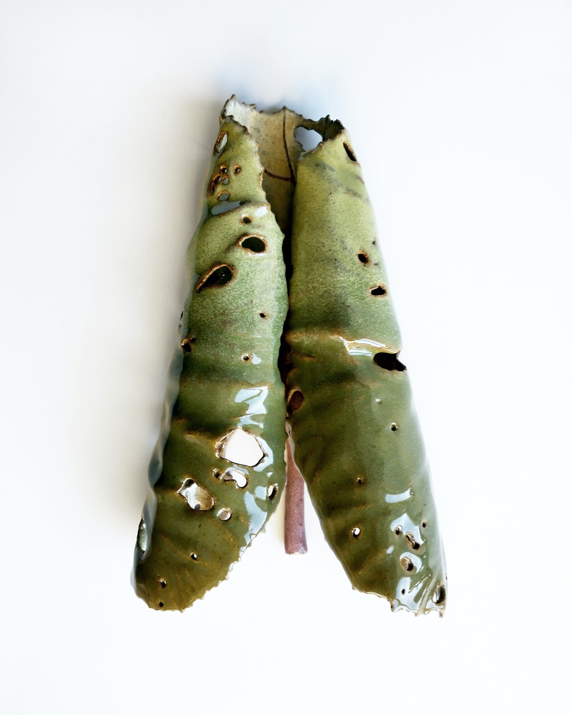 Marianne Nielsen, Foldet Skræppeblad, modelleret, glaseret stentøj, 2024. Foto: Galerie Pi.