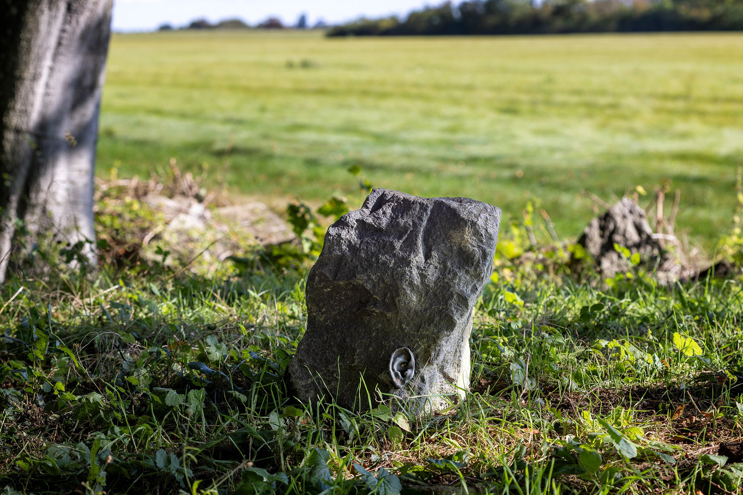 Ragnhild May,
<i>THE LISTENERS</i>, 2020-2022.
Sten i diabas med bronze
Fuglsang Kunstlandskab
Tilhører Fuglsang Kunstmuseum
Værkfotos: Jan Søndergaard