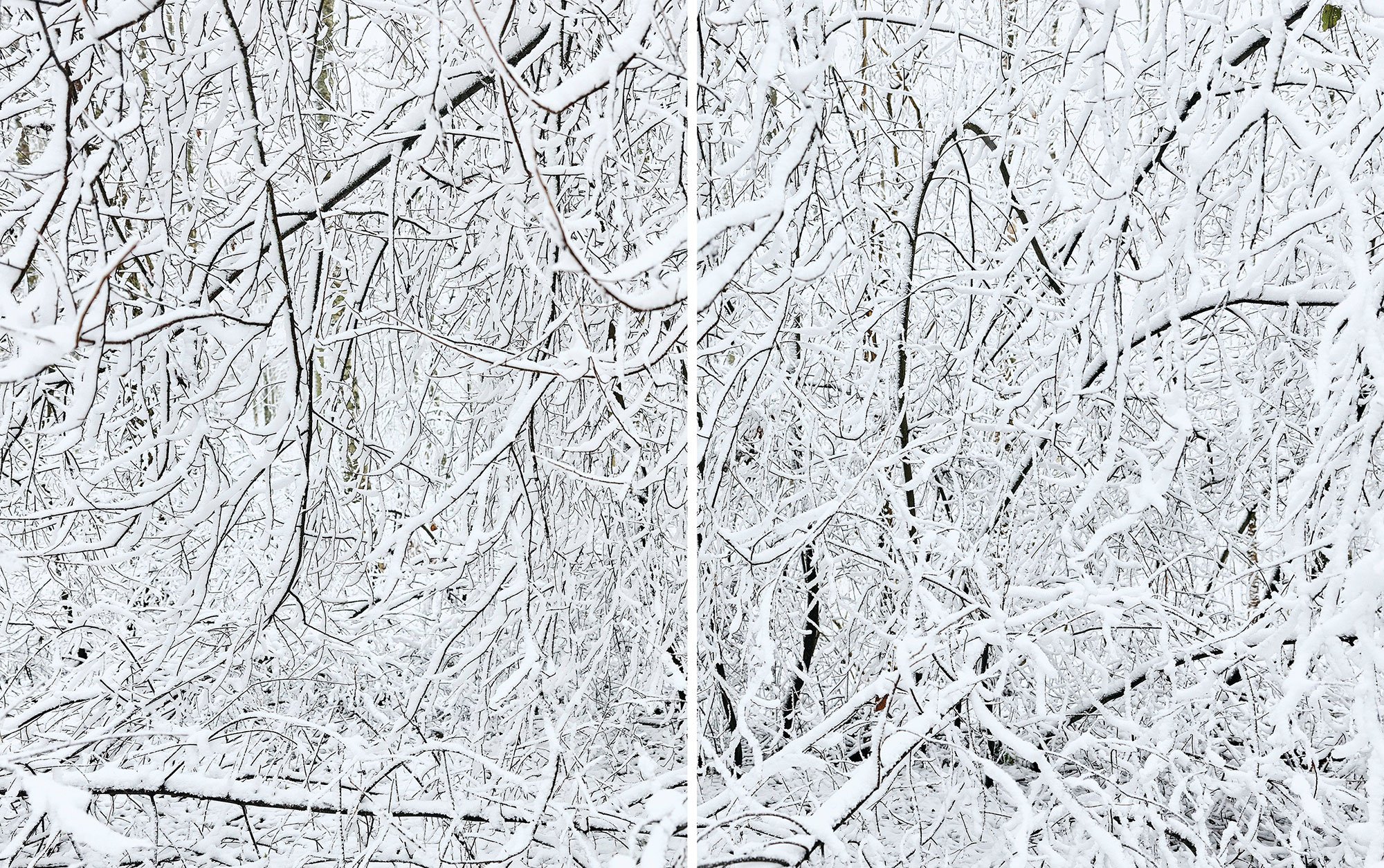 Sanne Kannisto: <i>First snow</i>, 2017, foto: Sanne Kannisto