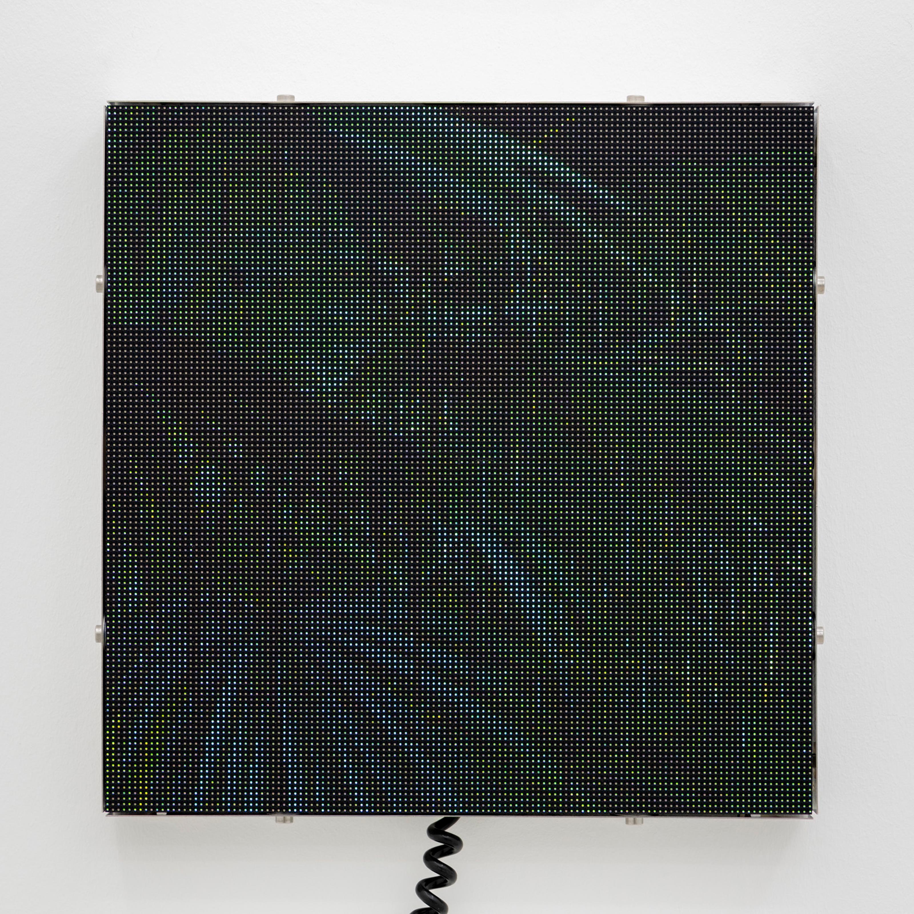 Spøgelsesmaskinen, <i>Late Mexican Fan Palm</i>, 2024. Foto: Bricks Gallery / Malle Madsen