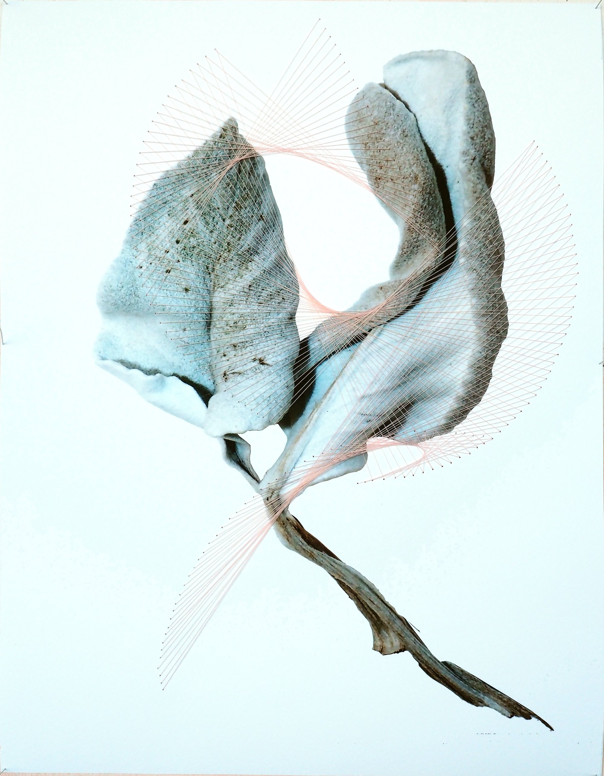 Lotte Agger, Syning på bomuldspapir, 2025. Foto: Lotte Agger.