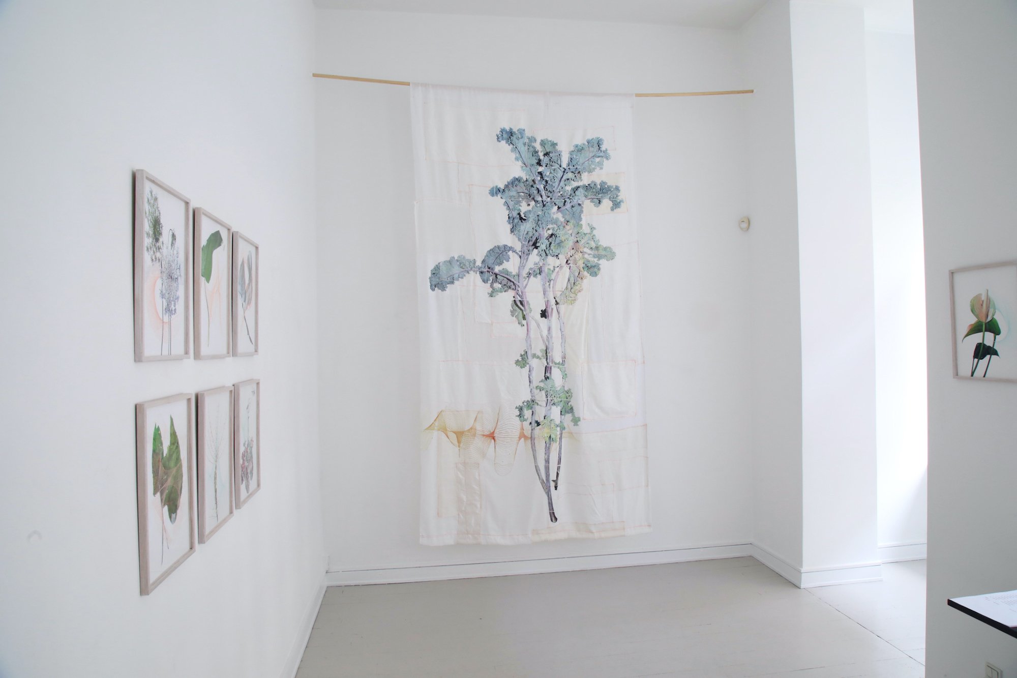 Udstillingsview: Lotte Agger. Foto: Sofie Hertz.